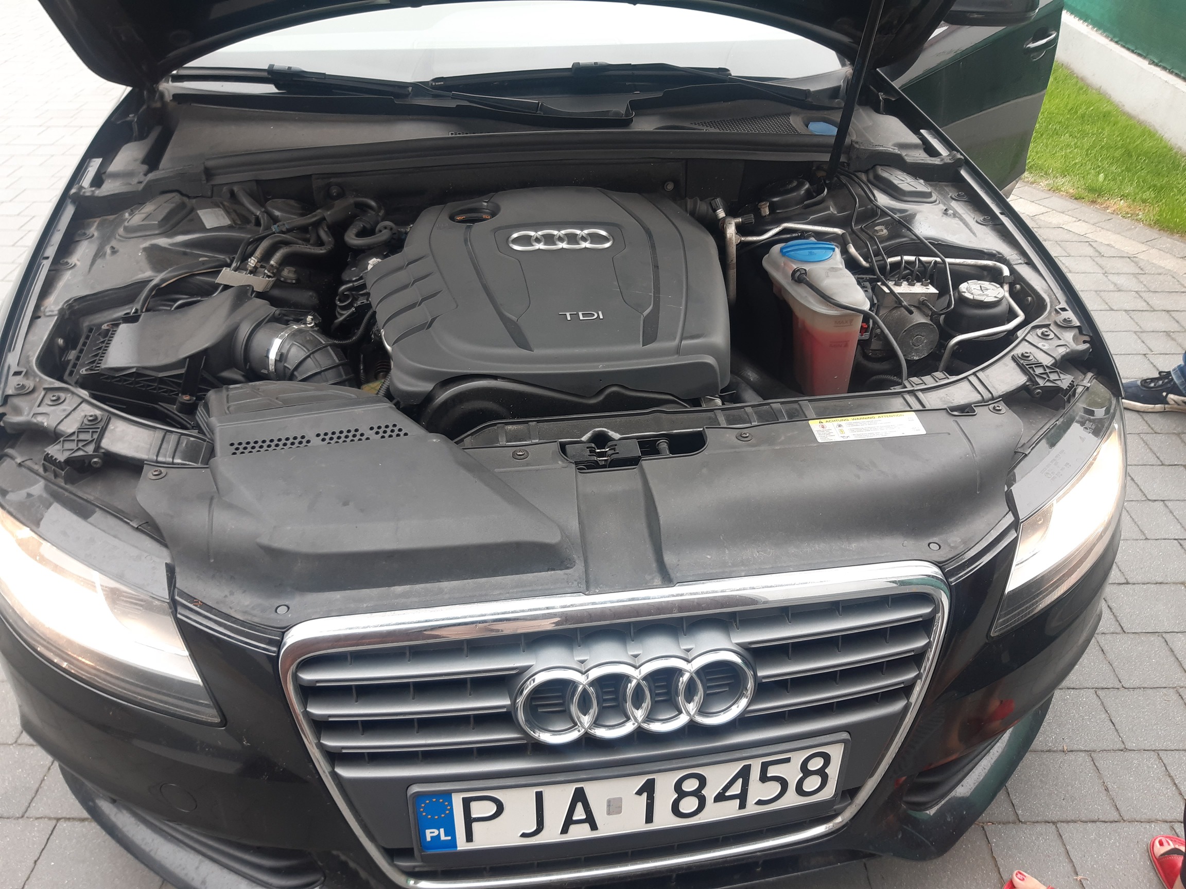 Komora silnika pod otwartą maską Audi. Widoczna plastikowa osłona jednostki TDI z logo marki oraz zbiorniki płynów.