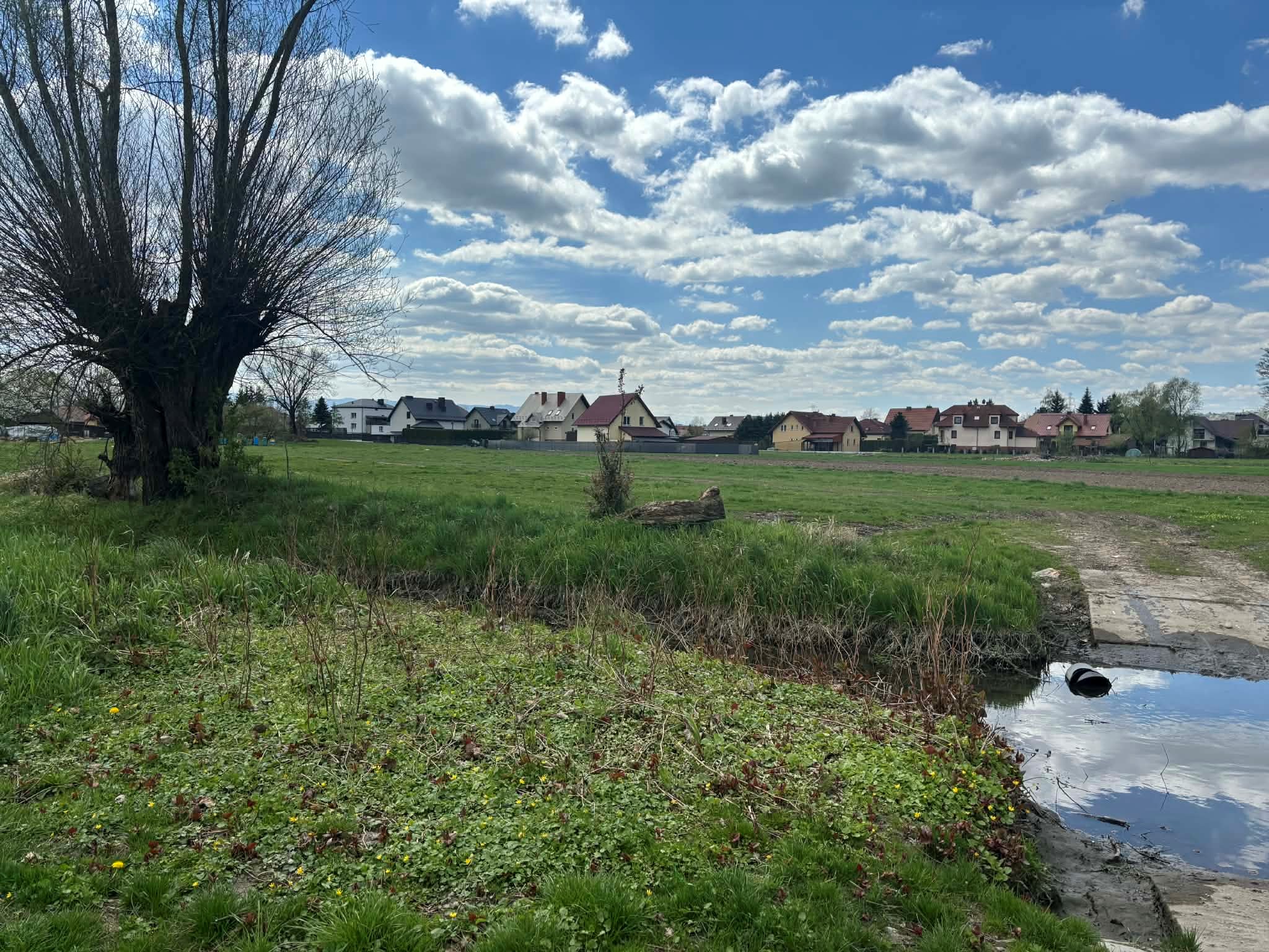 Działka częściowo porośnięta krzewami, granicząca ze strumykiem.