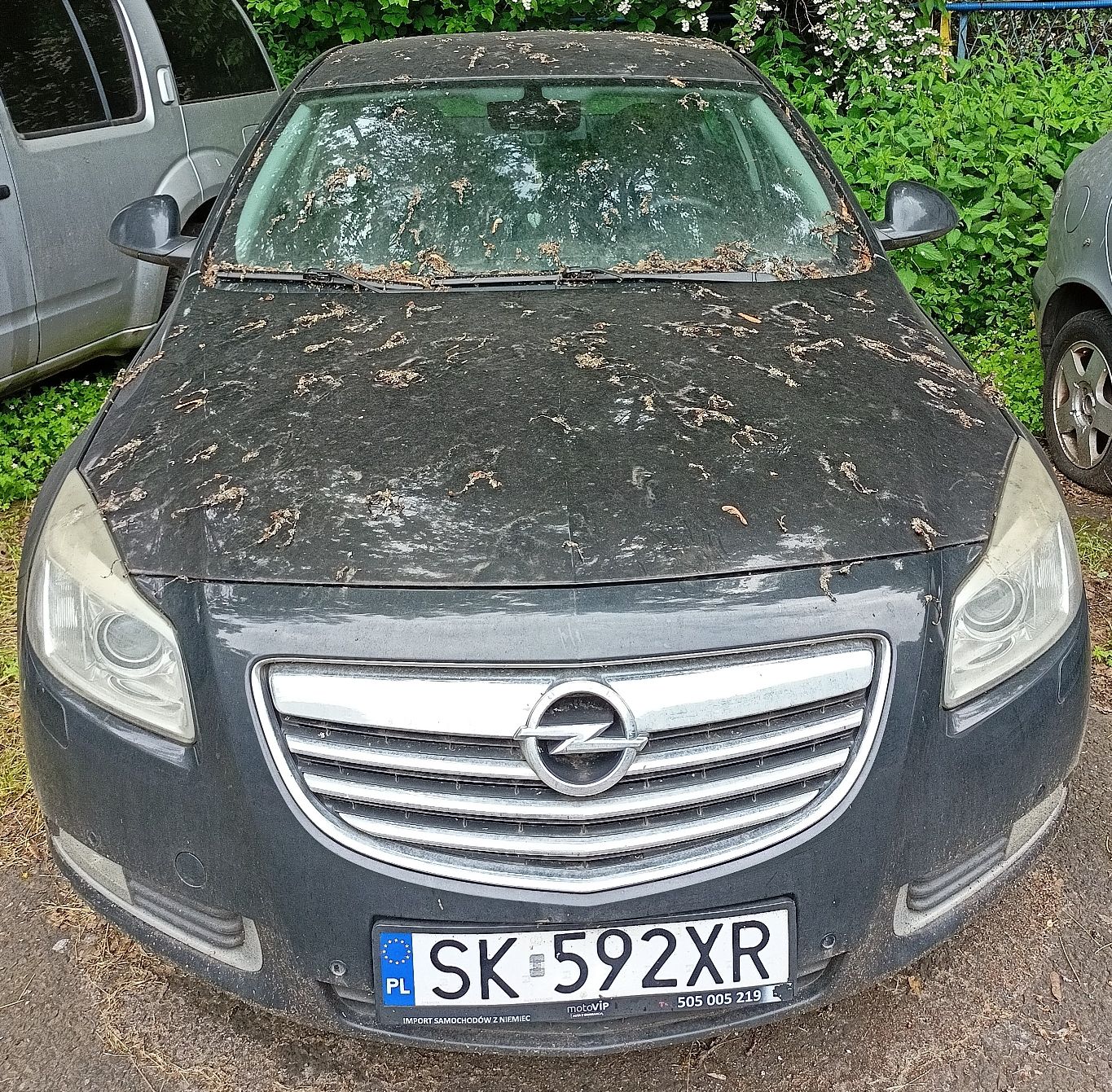 Opel Insignia - zdjęcie 1