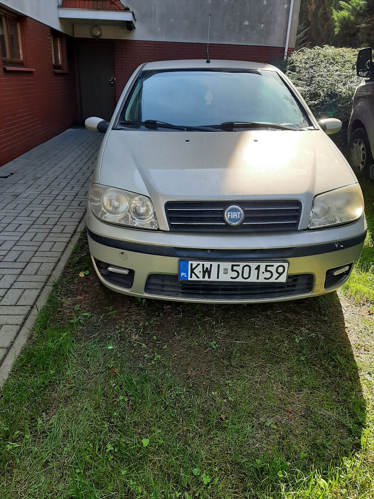 Fiat Punto - widok z przodu