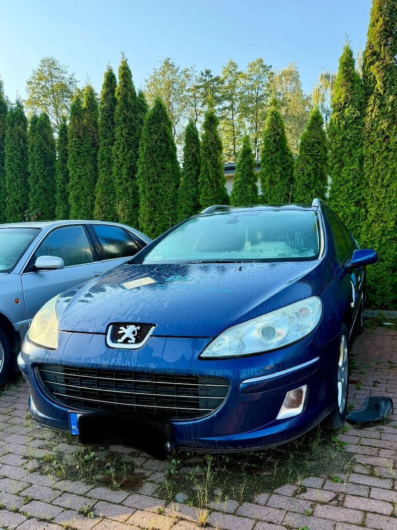 Peugeot 407 - zdjęcie 1