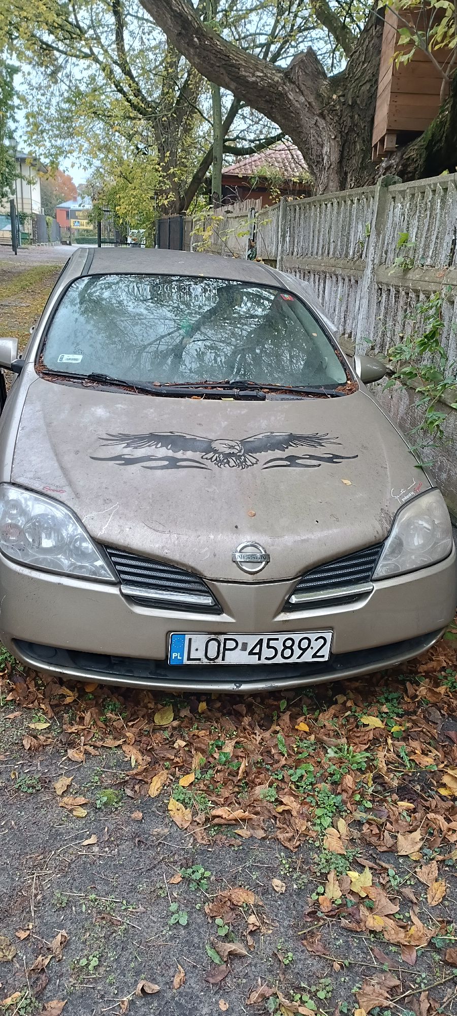 Nissan Primera - zdjęcie 4