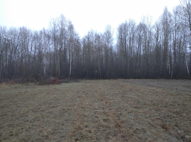 Nieruchomość gruntowa nr 388 w Krasówce - zdjęcie 3