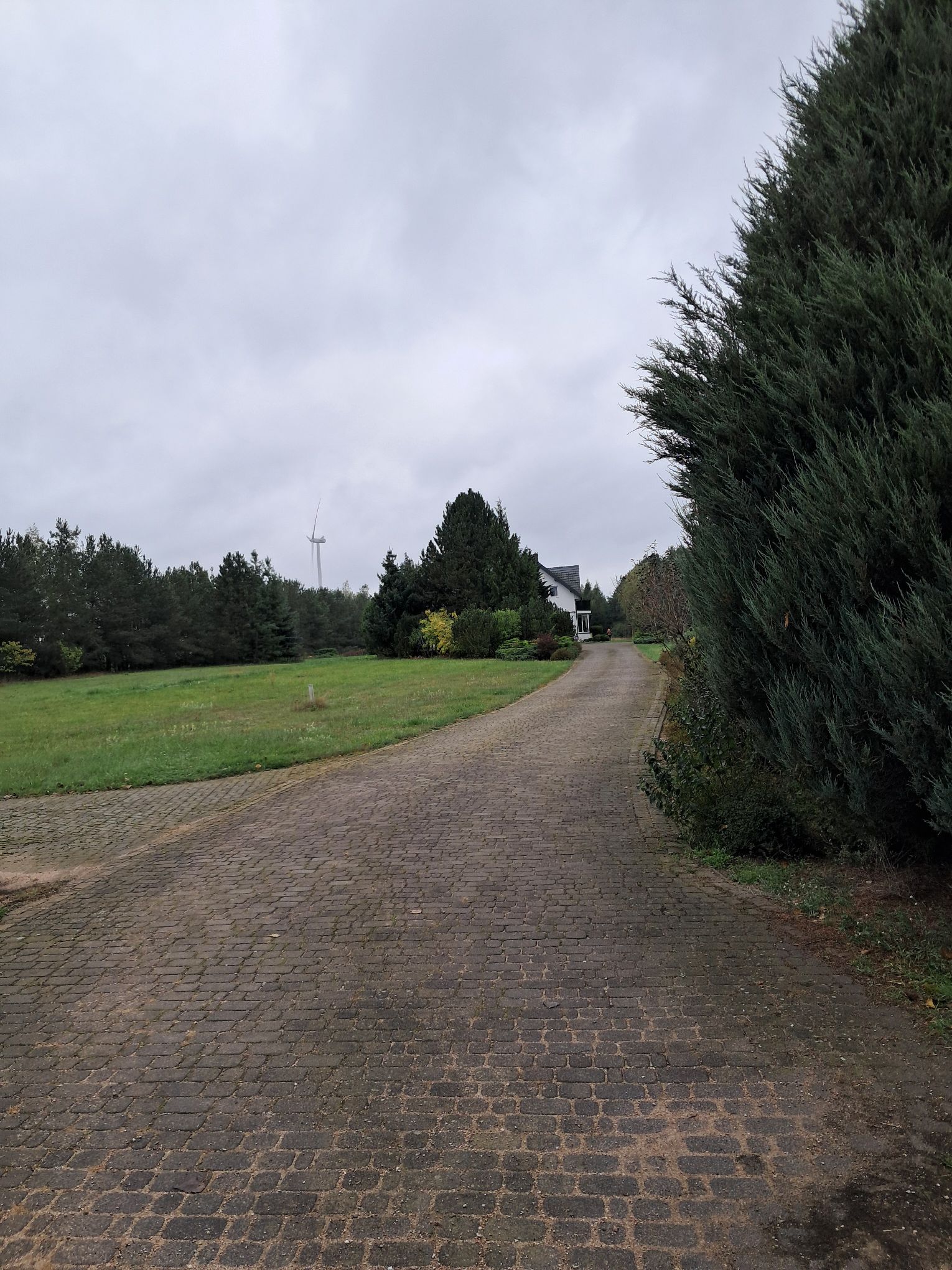 Zdjęcie przedmiotu licytacji