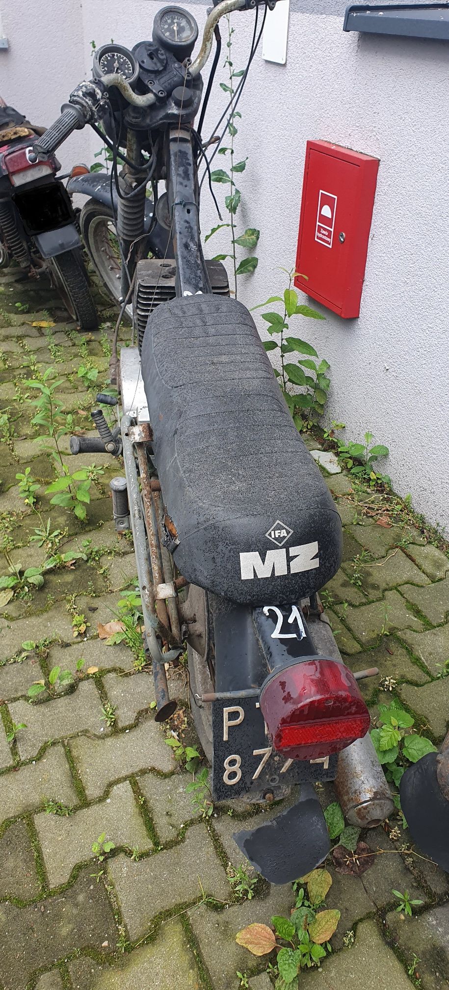 MZ ETZ 250 - zdjęcie przedmiotu
