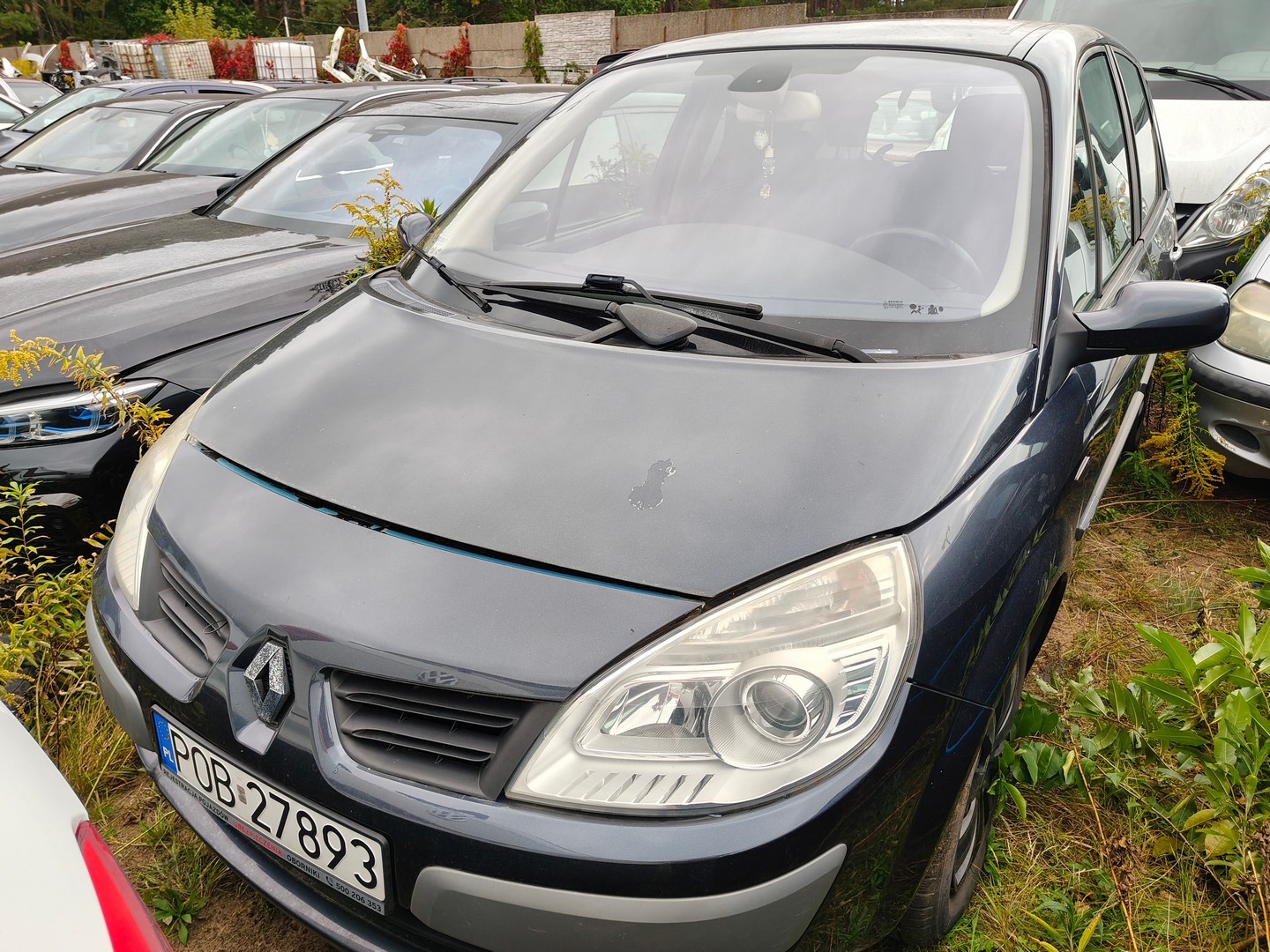 Renault zaparkowany ciasno między innymi samochodami na tle pochmurnego nieba.