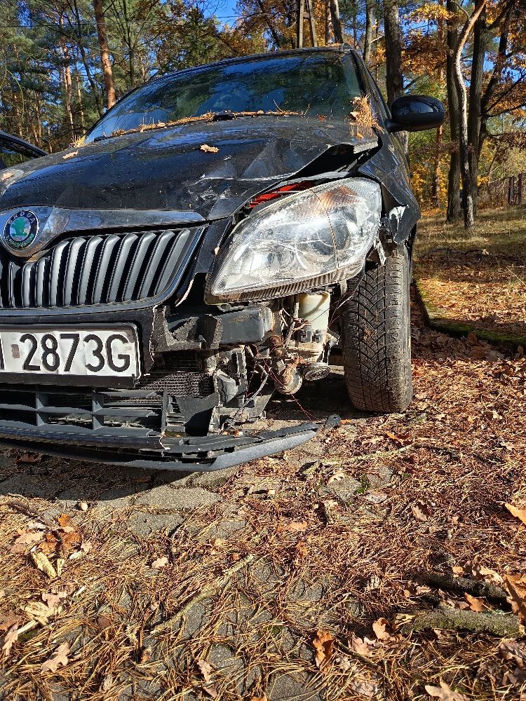 Skoda Roomster - zdjęcie 4