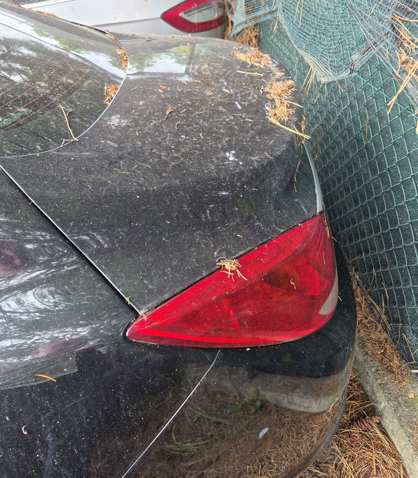 Opel Insignia - zdjęcie 4