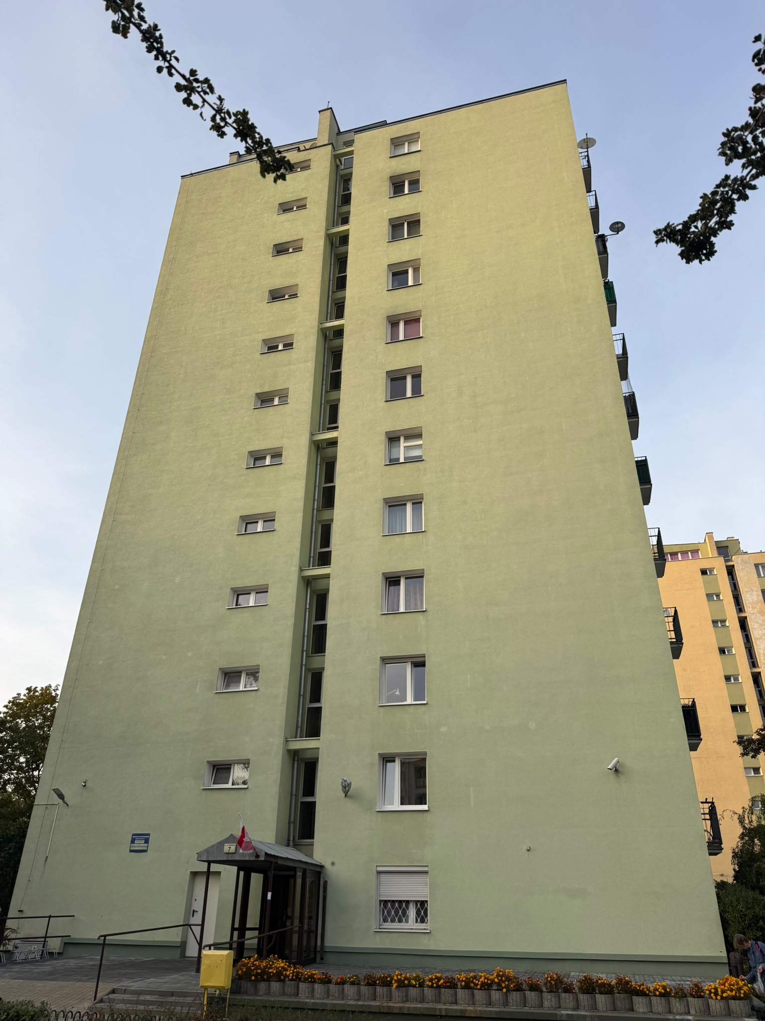Zielony blok mieszkalny z wielkiej płyty z rzędami małych balkonów. Przed wieżowcem rosną drzewa, w tle widać jasne niebo.