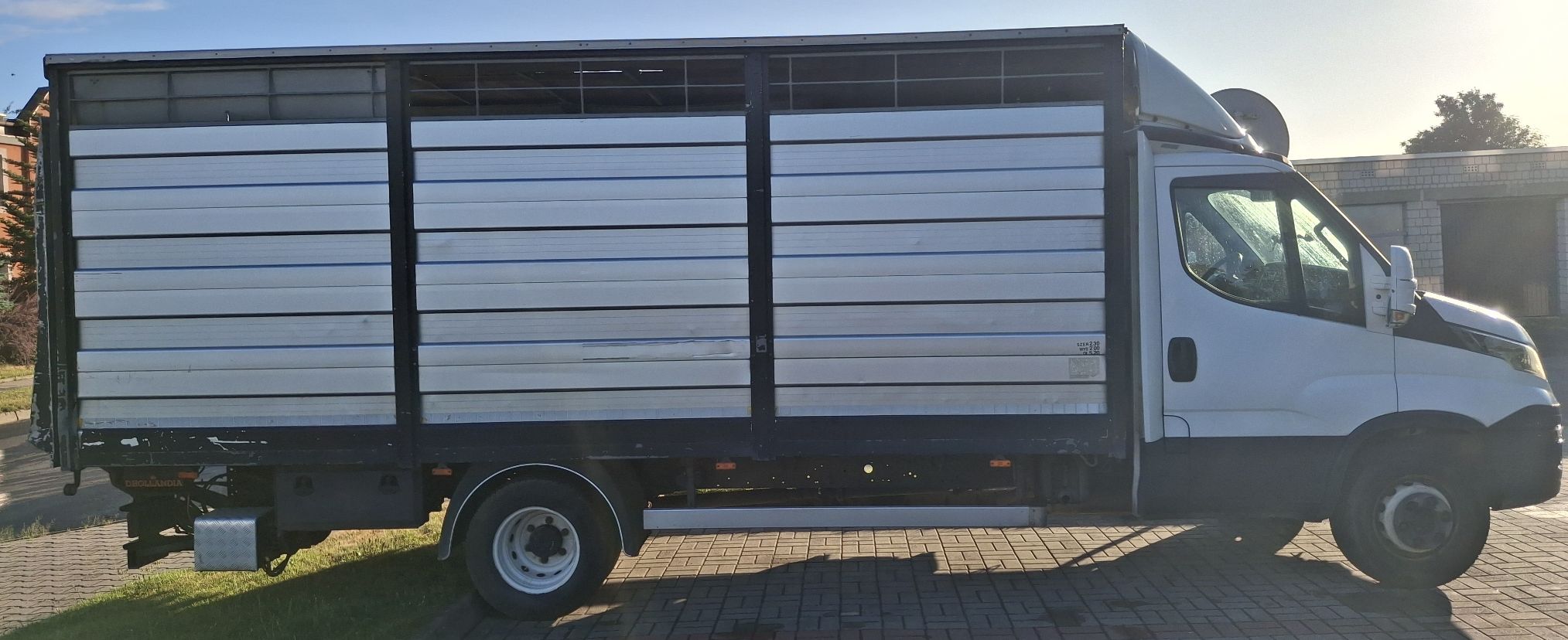 Białe Iveco Daily z prawego profilu. Duża zabudowa do przewozu zwierząt.