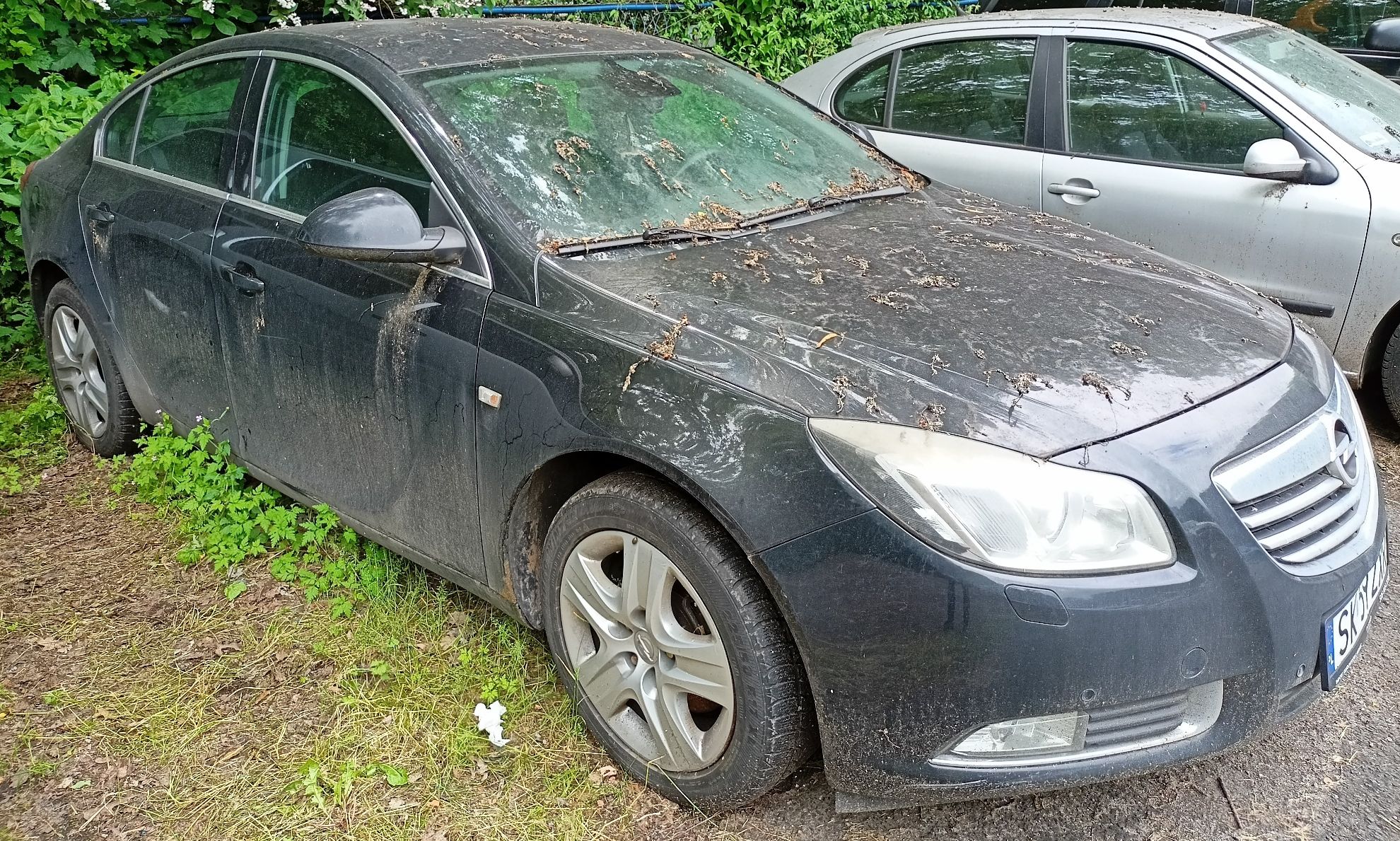 Opel Insignia - zdjęcie 2