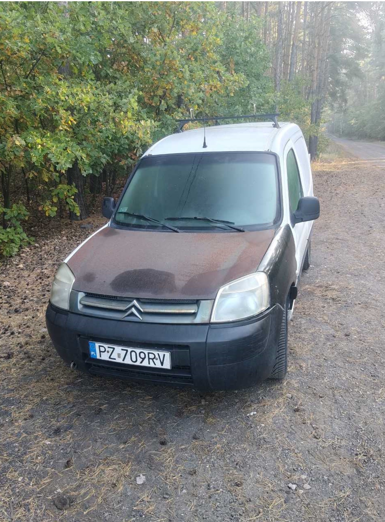 Auto dostawcze koloru białego z maską w kolorze rdzawym