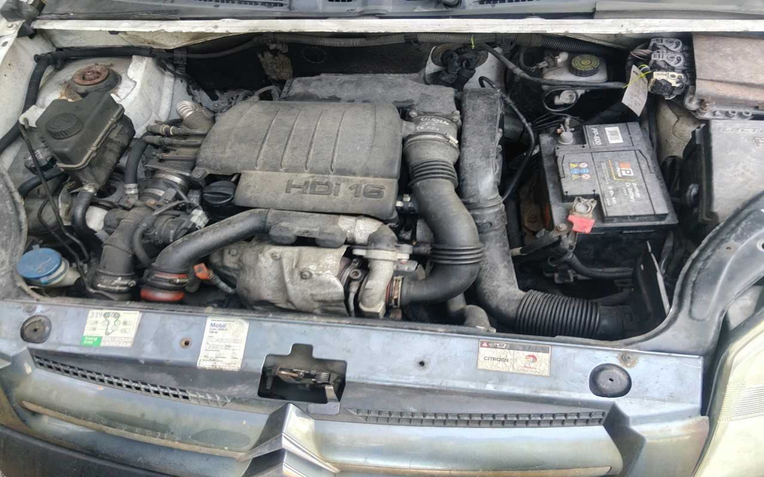 Auto dostawcze koloru białego z maską w kolorze rdzawym