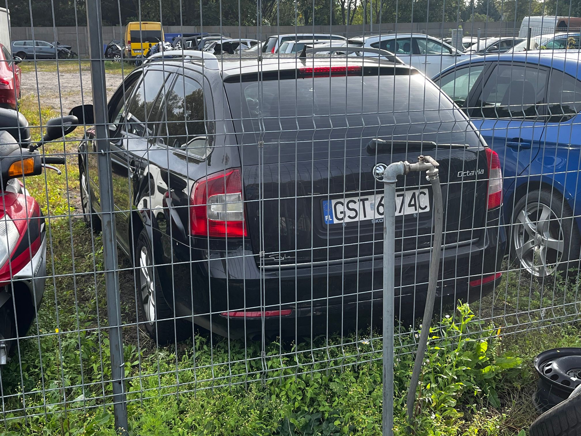 Zdjęcie SKODY OCTAVII KOMBI widocznej z tyłu.