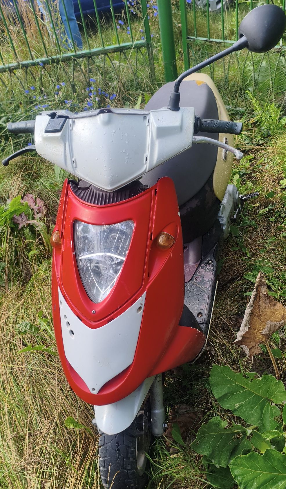 Zdjęcie skutera z przodu.