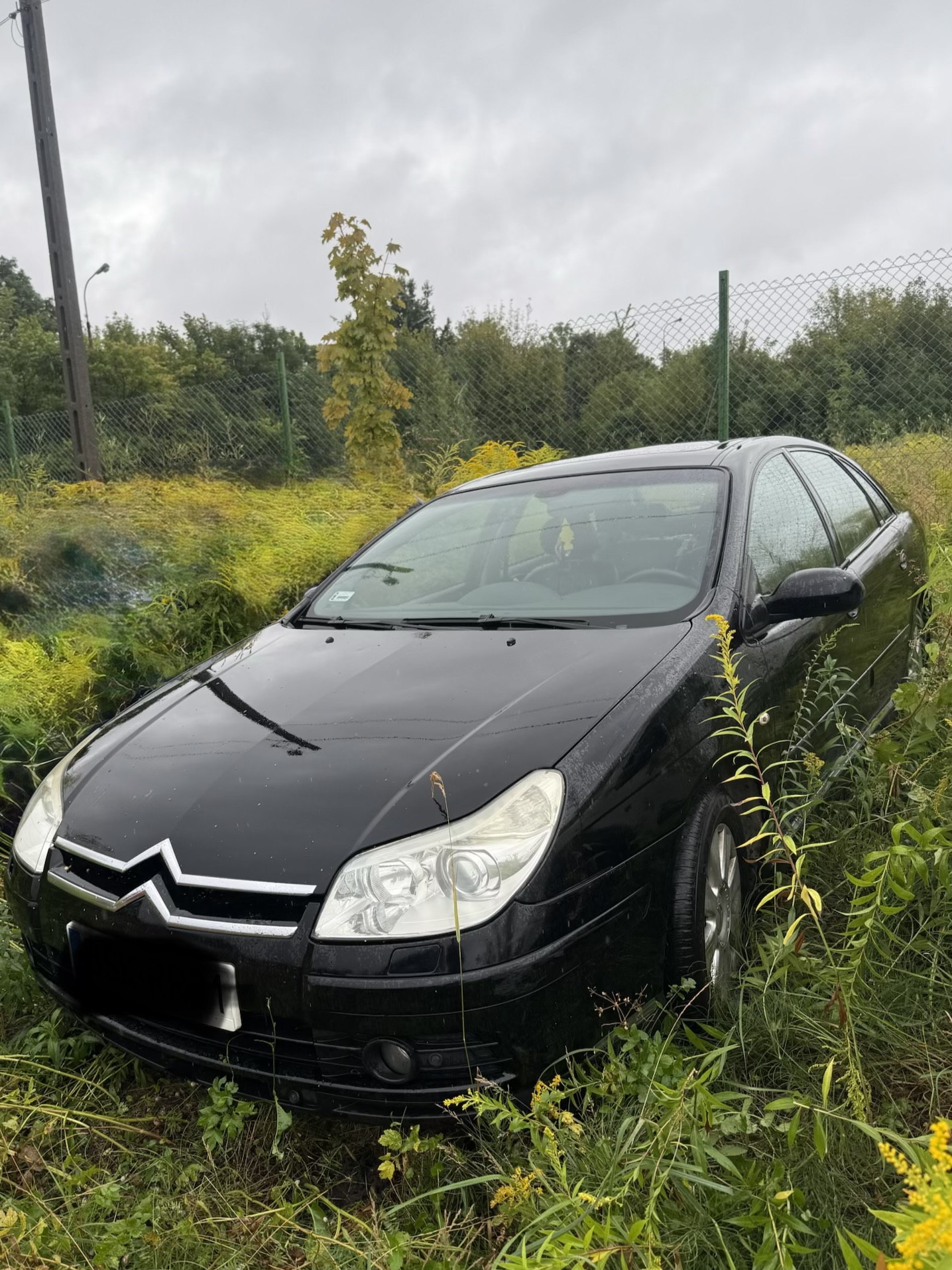 Citroën C5 - zdjęcie 2