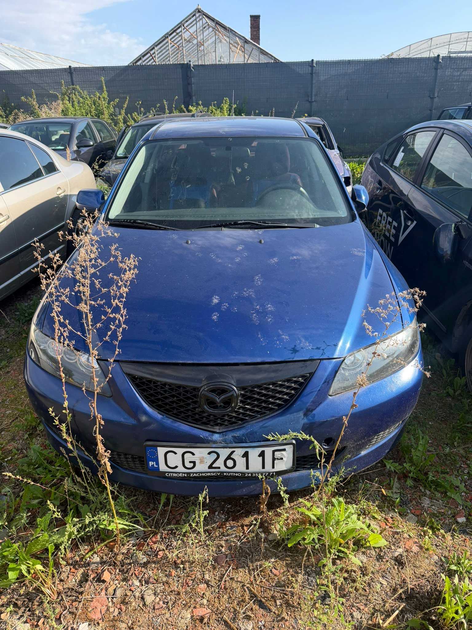 Przód pojazdu koloru niebieskiego.