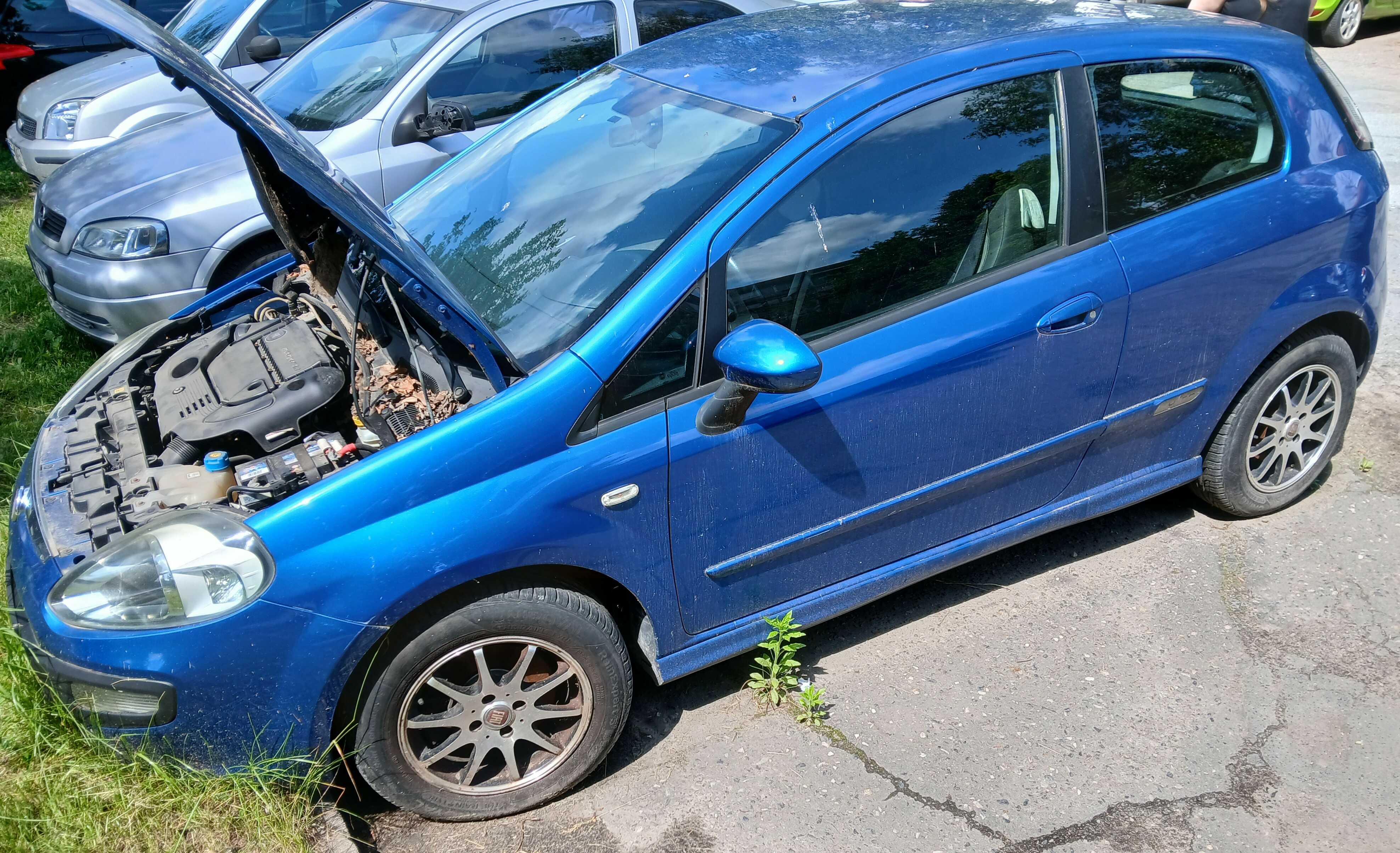 Fiat Punto 2010 - zdjęcie 5
