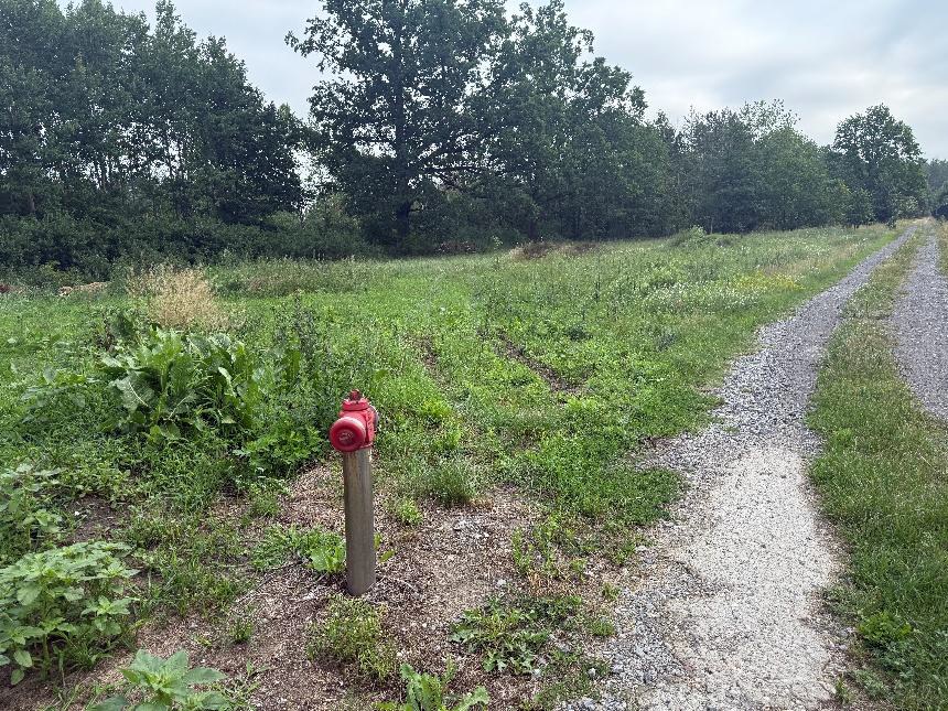 Niezabudowana działka położona w Podbieli - Foto 1