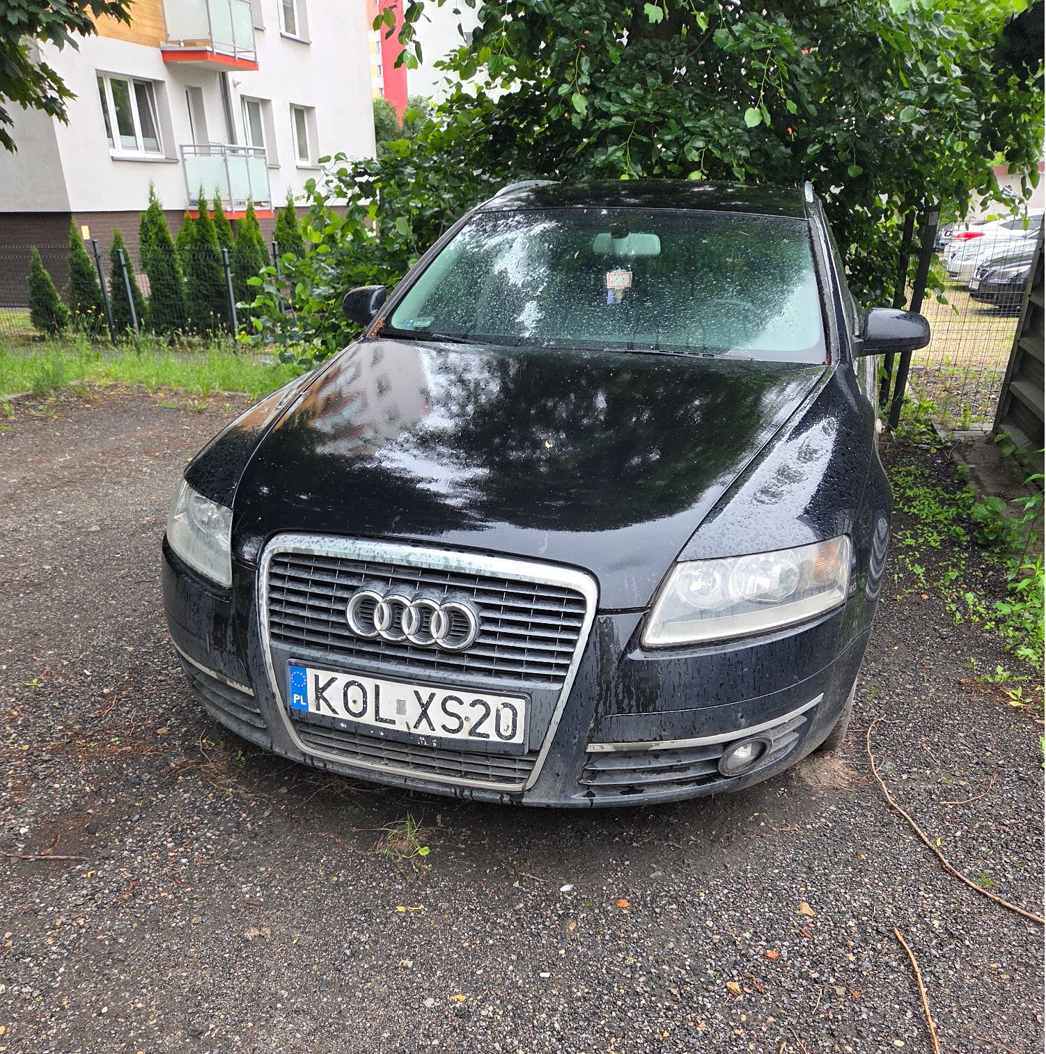 samochód osobowy Audi A6 kolor czarny przód pojazdu