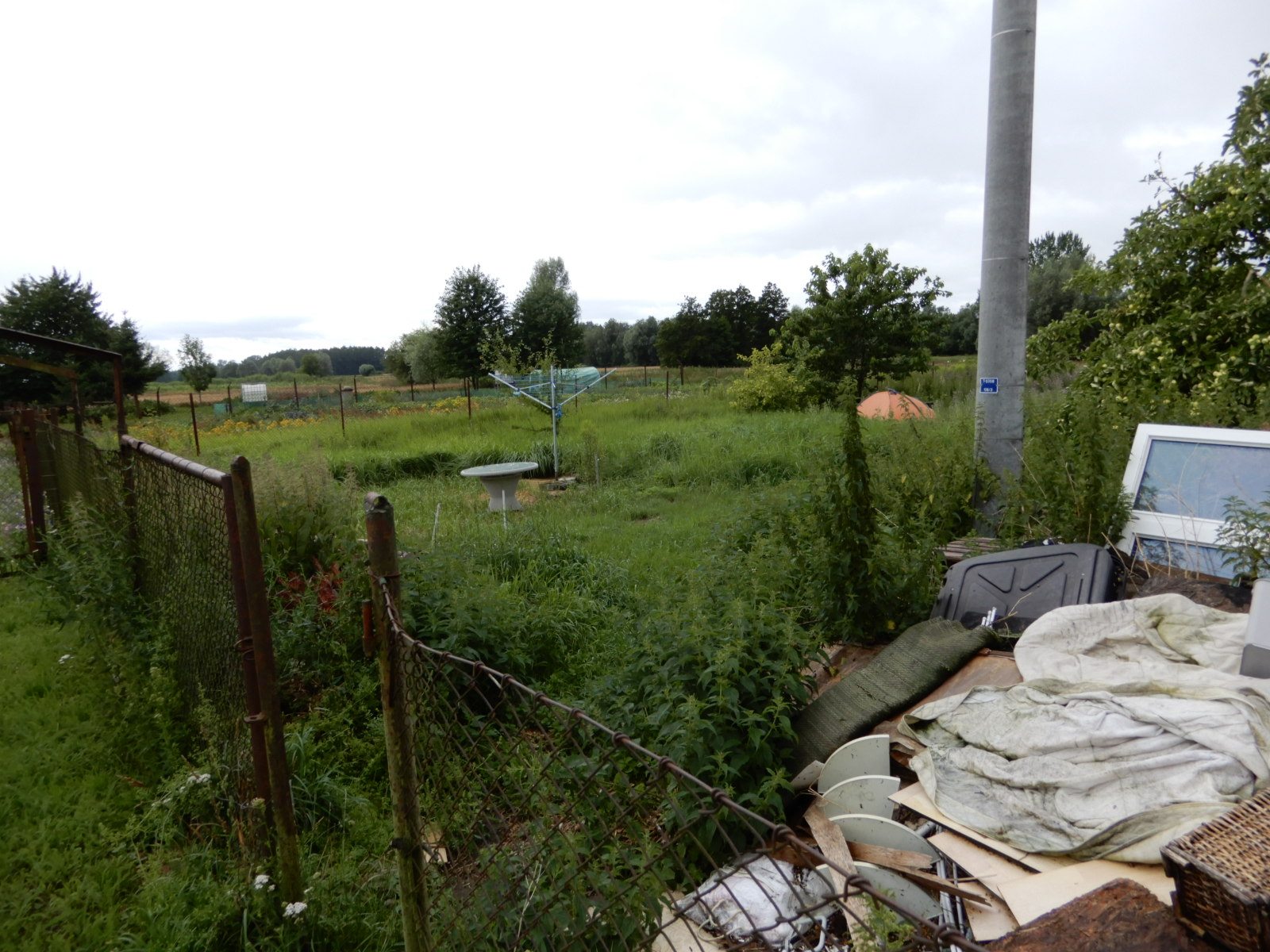 Widok działki z sadem, ogrodzonej starą siatką metalową