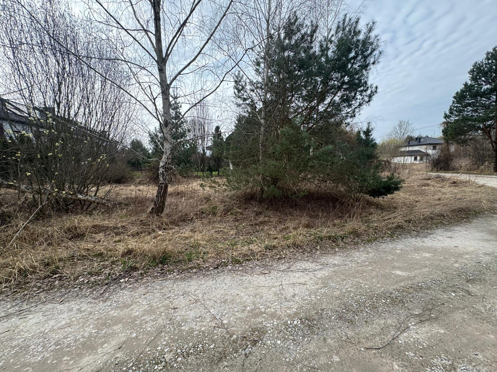Zdjęcie przedmiotu. Szczegółowe dane dostępne w opisie.
