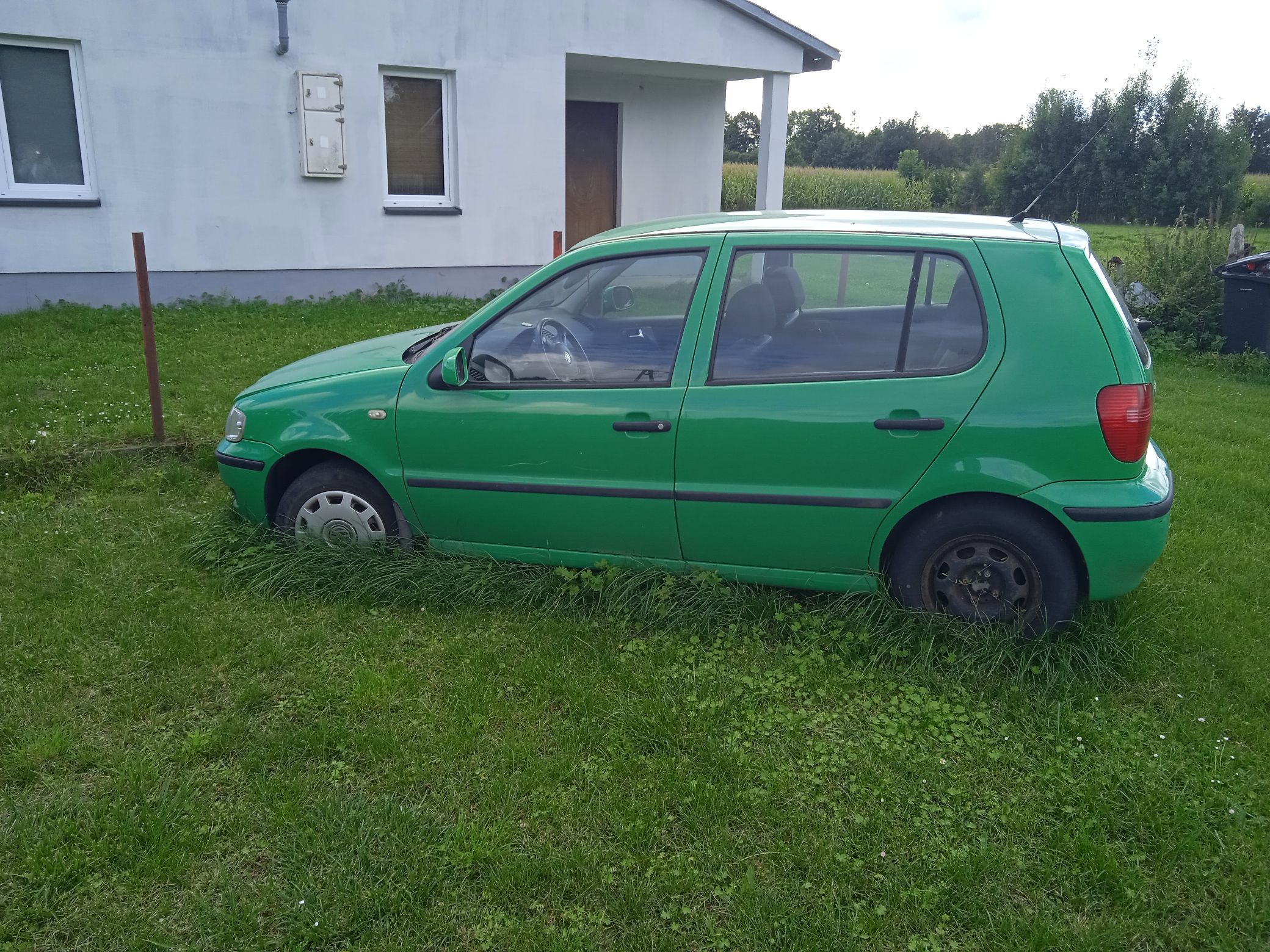 Volkswagen Polo - detal