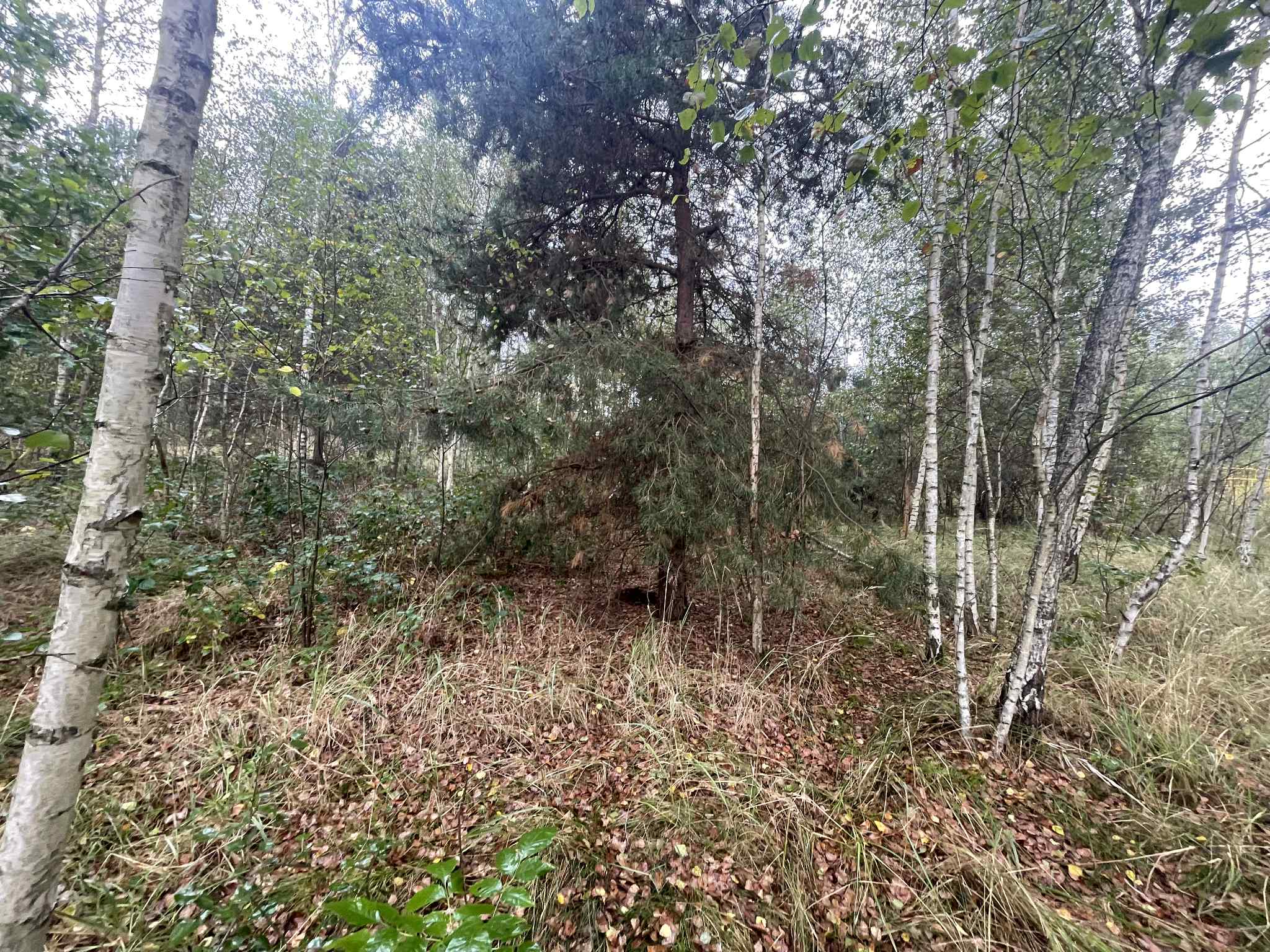 działka 248/2