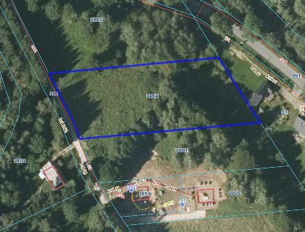 Zdjęcie satelitarne widoku terenu z niebieskim oznaczeniem zarysu działki