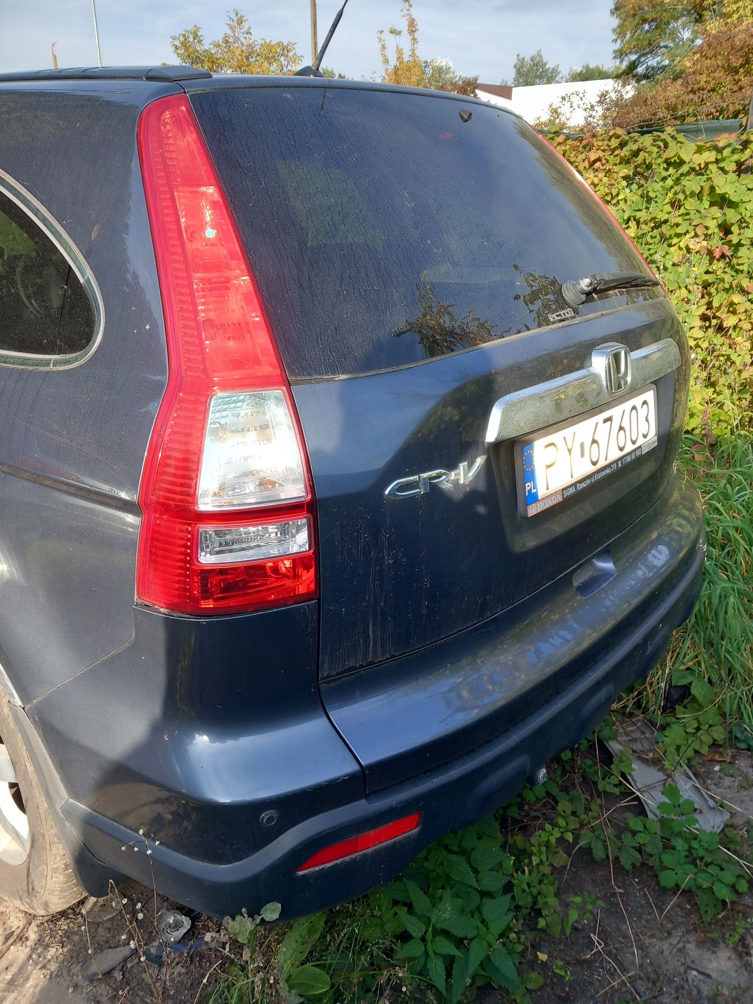 Samochód z tyłu