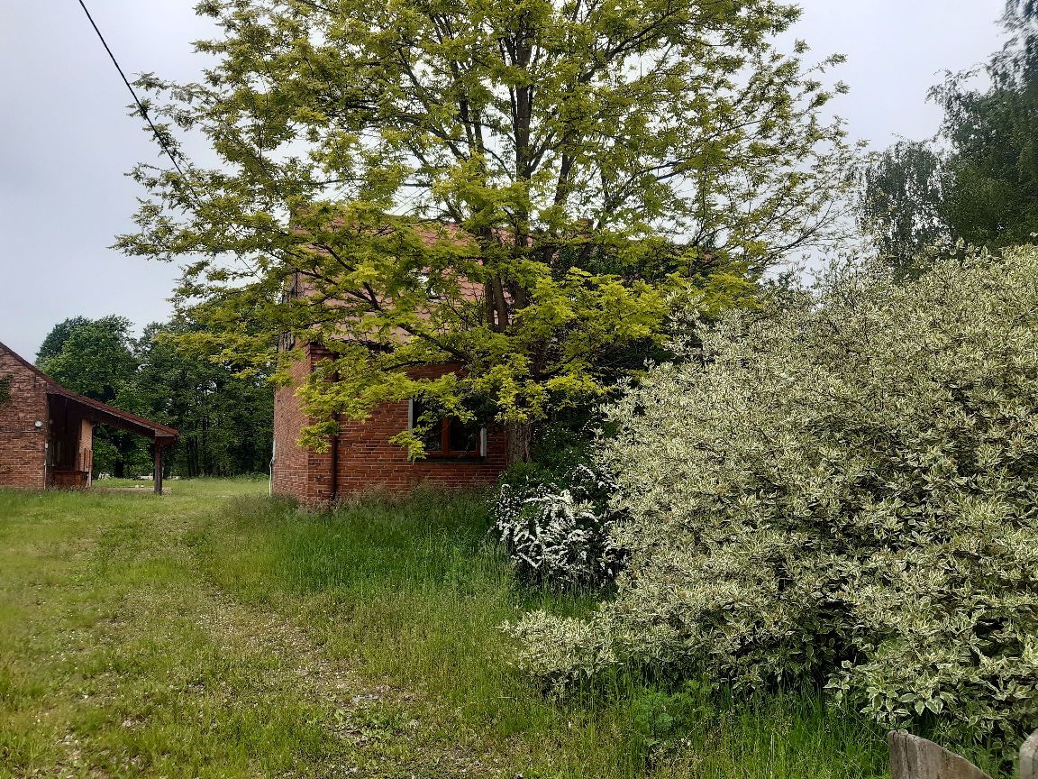 Zdjęcie przedstawia budynek mieszkalny i budynek gospodarczy z czerwonej cegły, otoczony zielenią