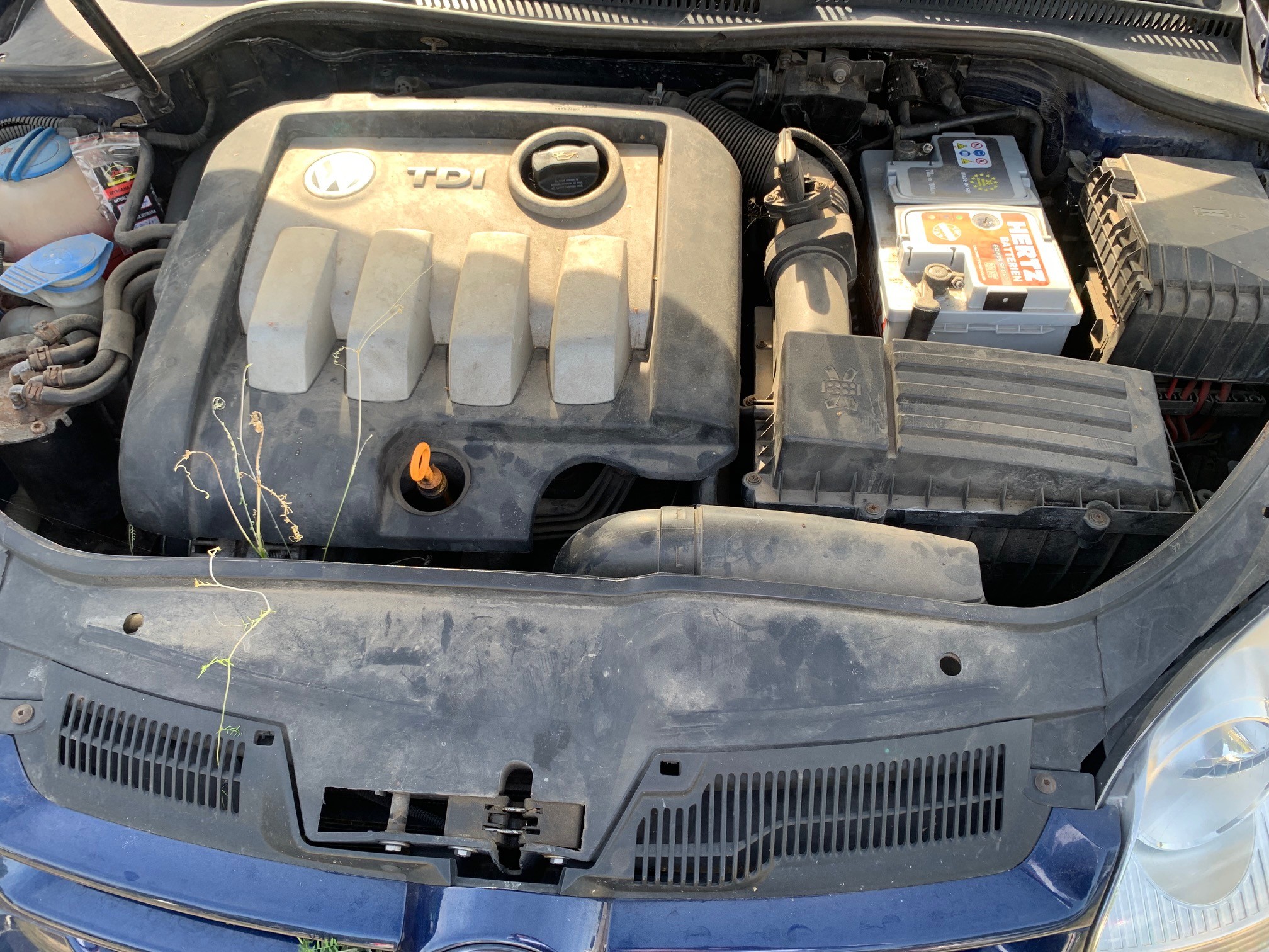 Komora silnika Volkswagena Golfa generacji V z silnikiem 1.9 TDI