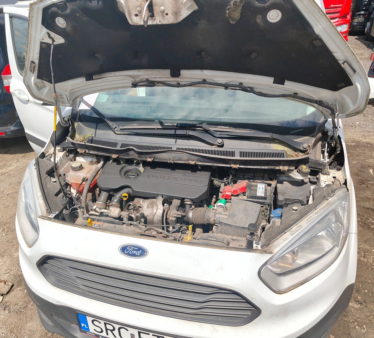 samochód osobowy marki ford koloru białego przód