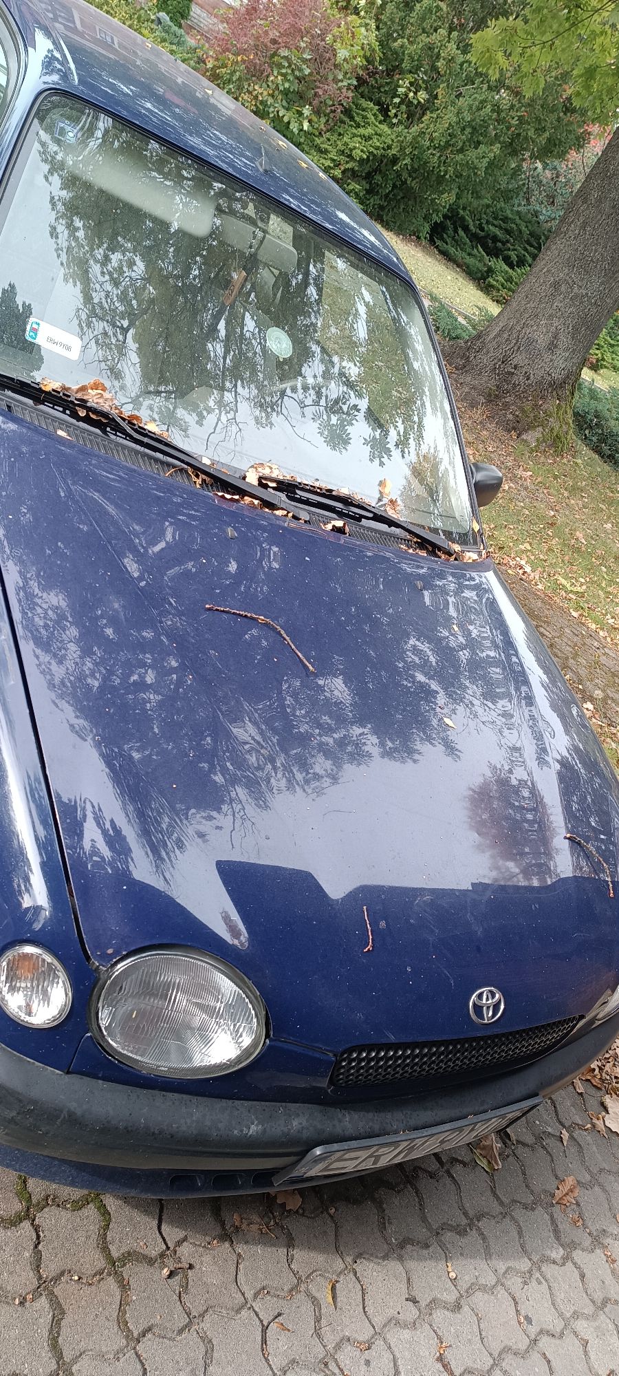 Toyota Corolla - zdjęcie 5