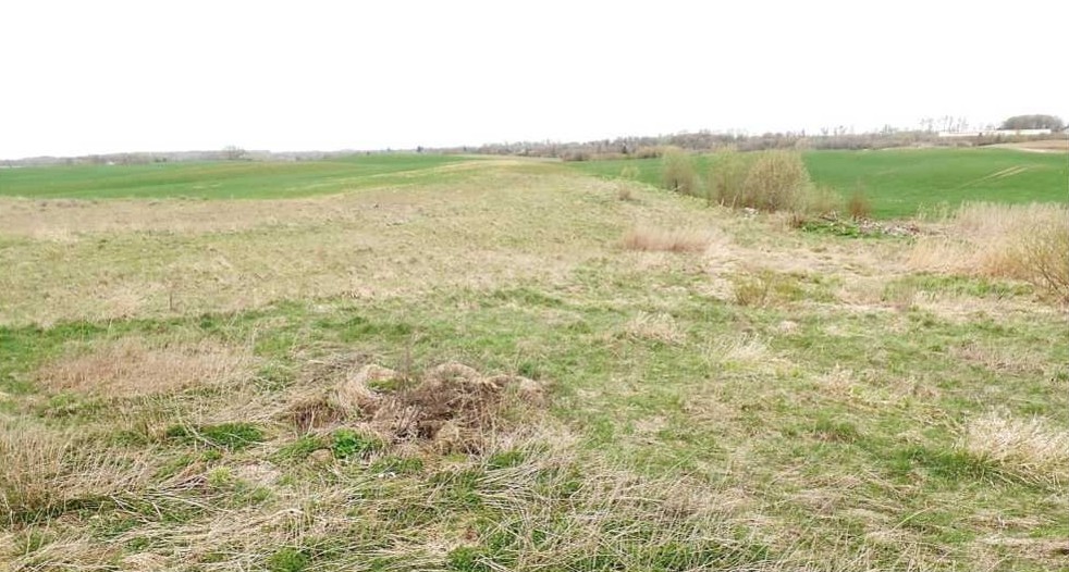 Teren porośnięty trawą.