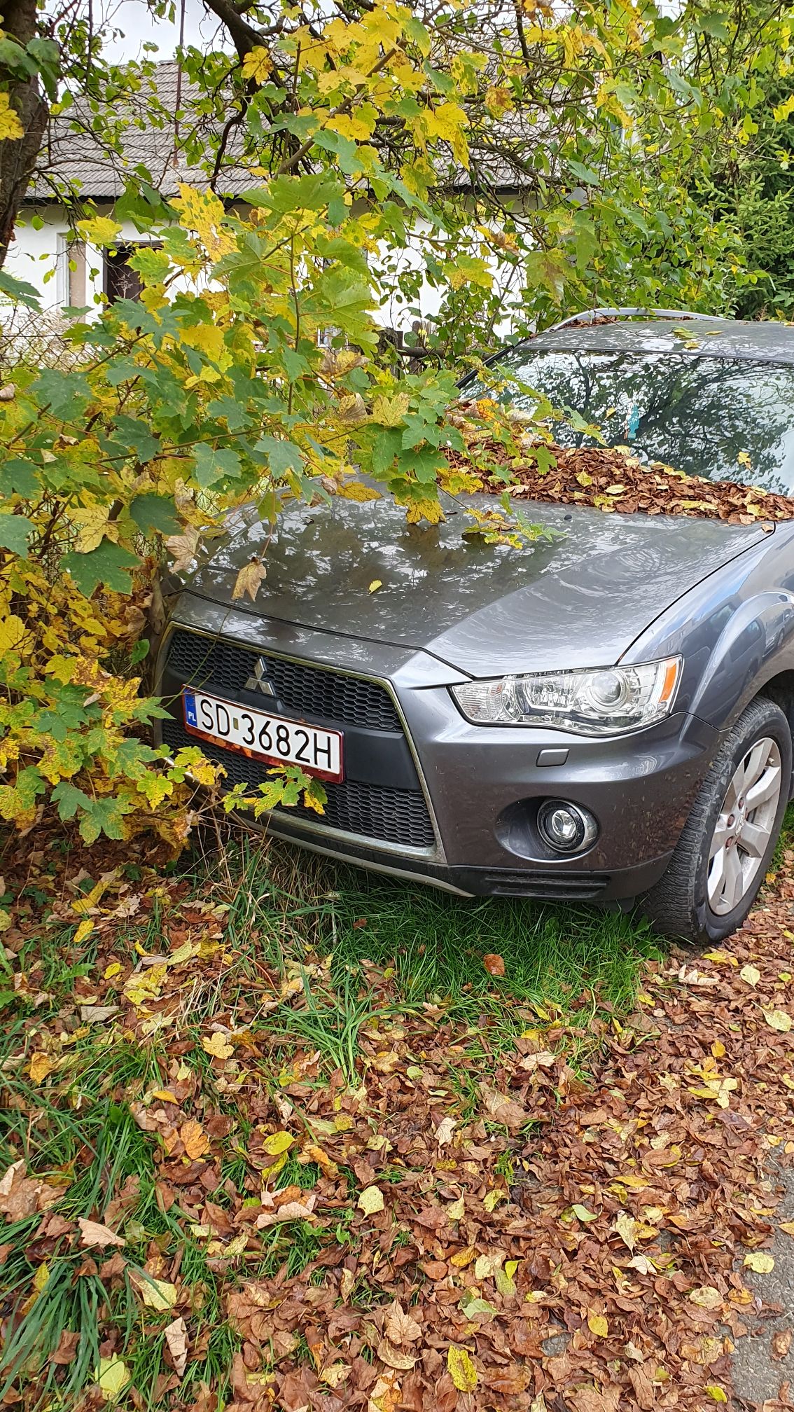 Widok samochodu z przodu