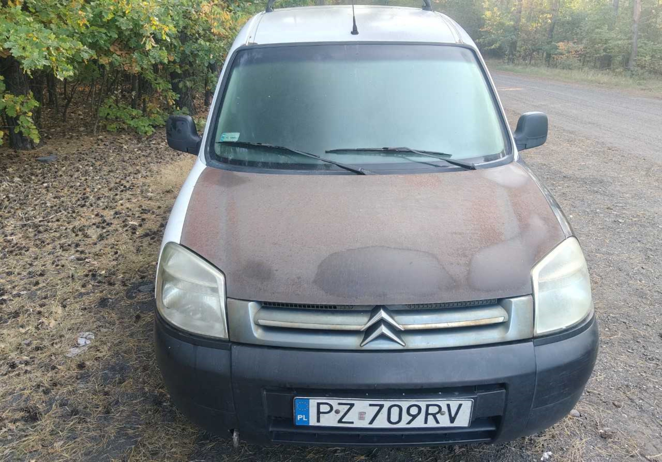 Auto dostawcze koloru białego z maską w kolorze rdzawym