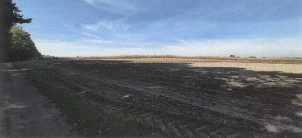 Pole uprawne ciągnące się wzdłuż drogi gruntowej.