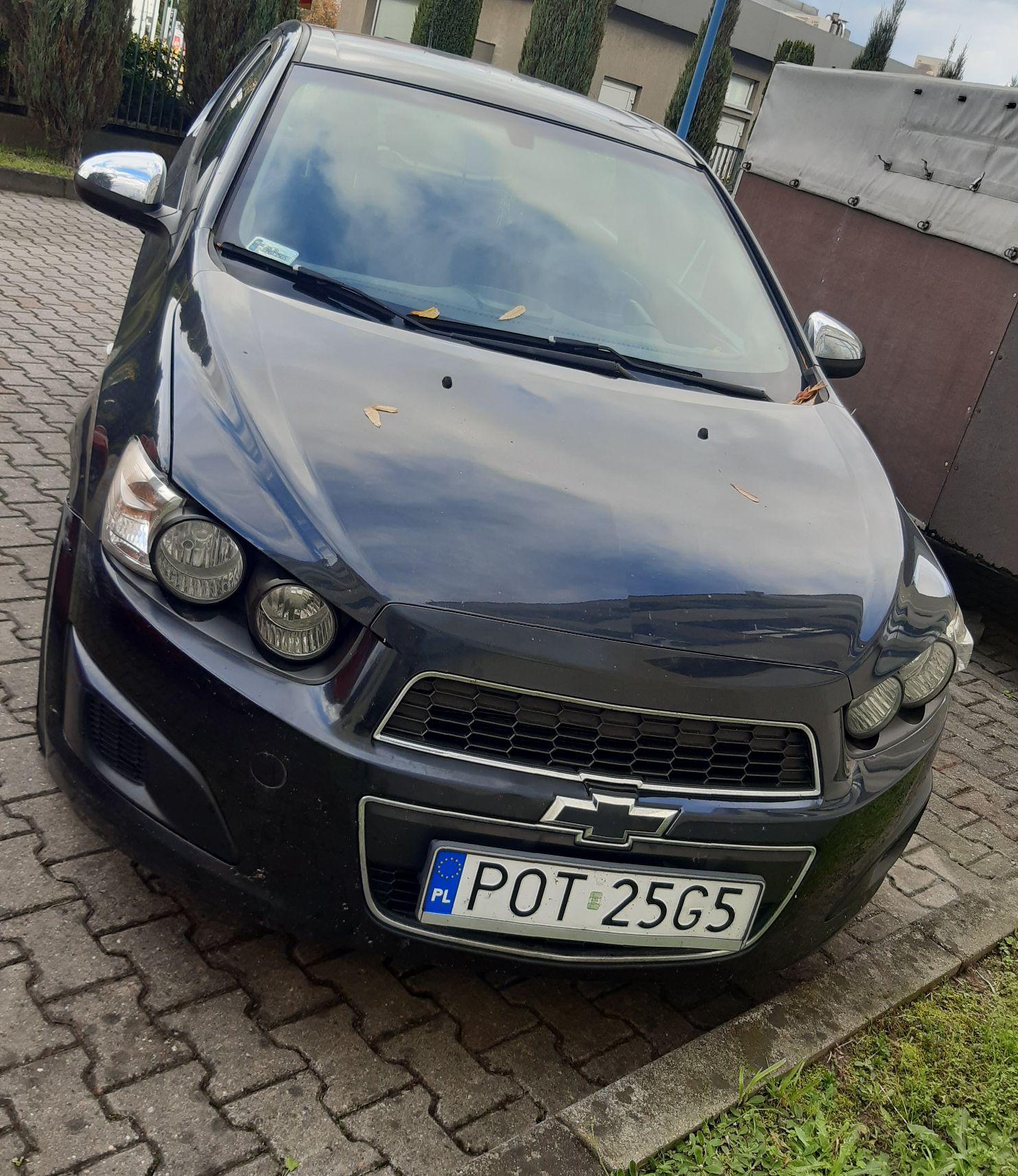 Widok od przodu na samochód Chevrolet Aveo