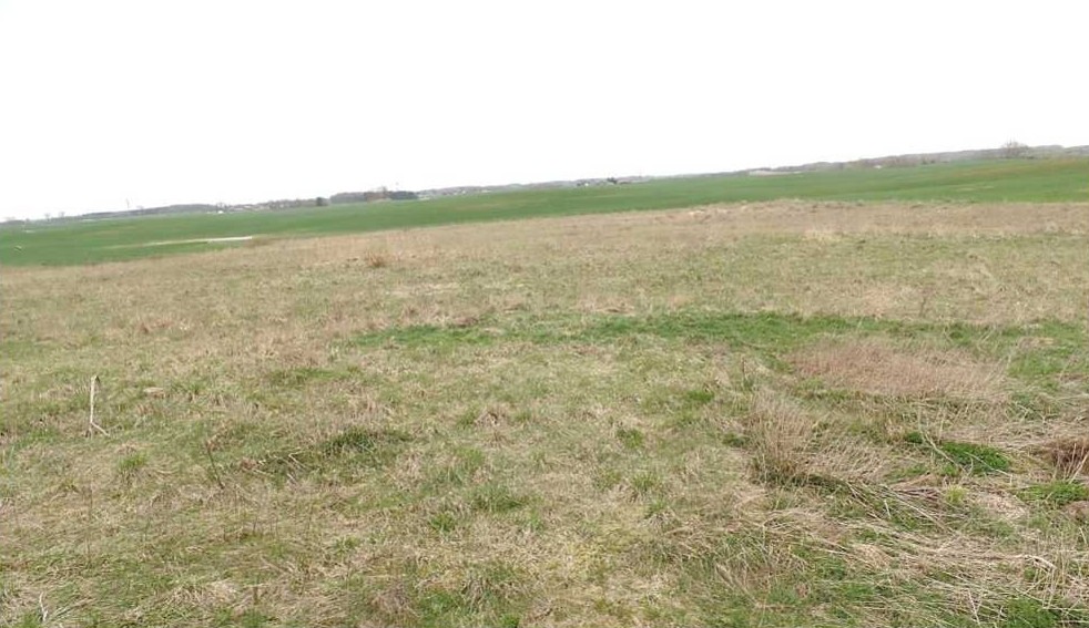 Rozległe, płaskie pole pokryte suchą, pożółkłą trawą z kępami zieleni