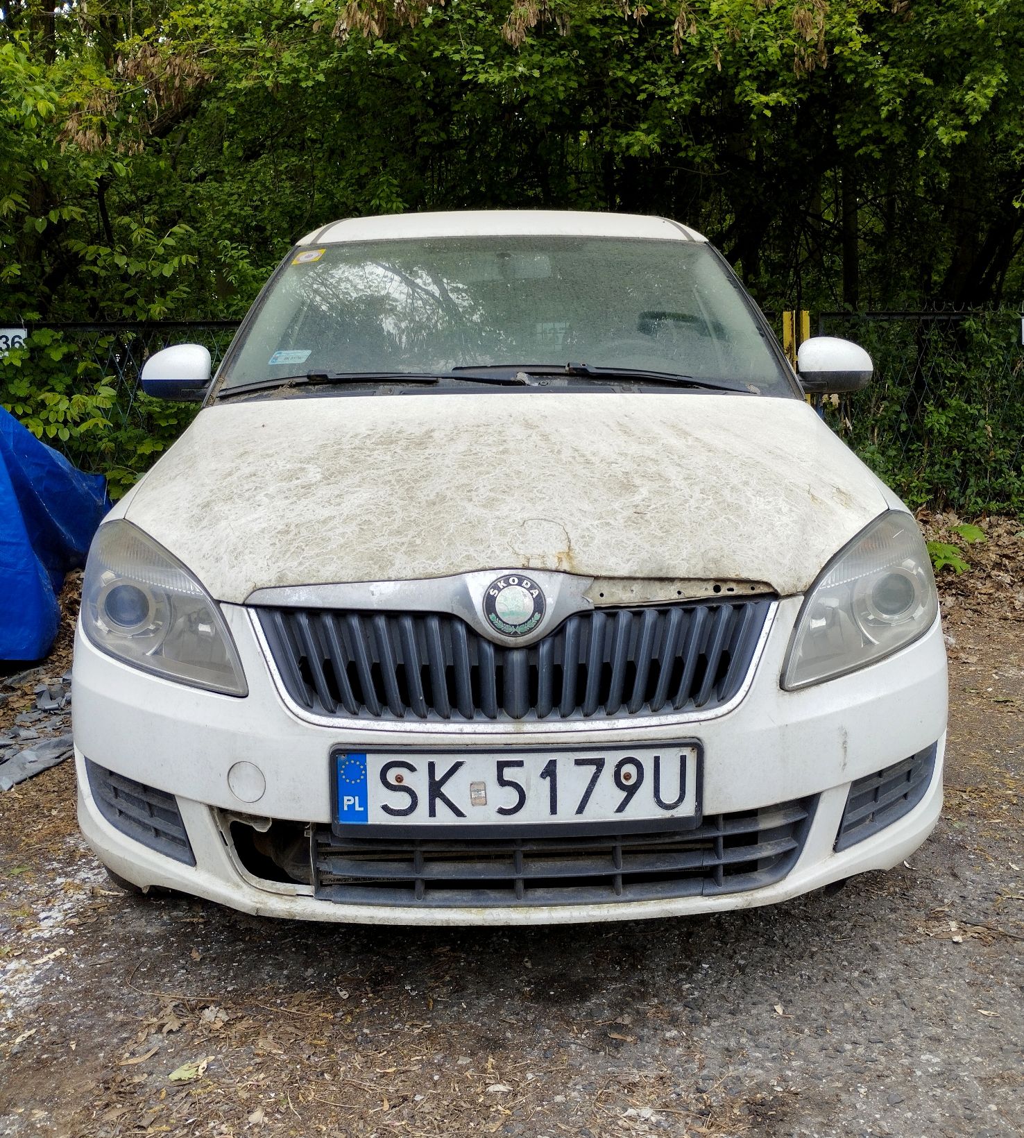 Skoda Roomster 2010 - zdjęcie 2