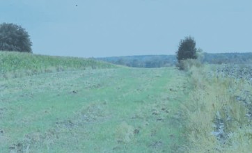 Zdjęcie przedstawia nieruchomość gruntową. Działka jest użytkowana rolniczo.
