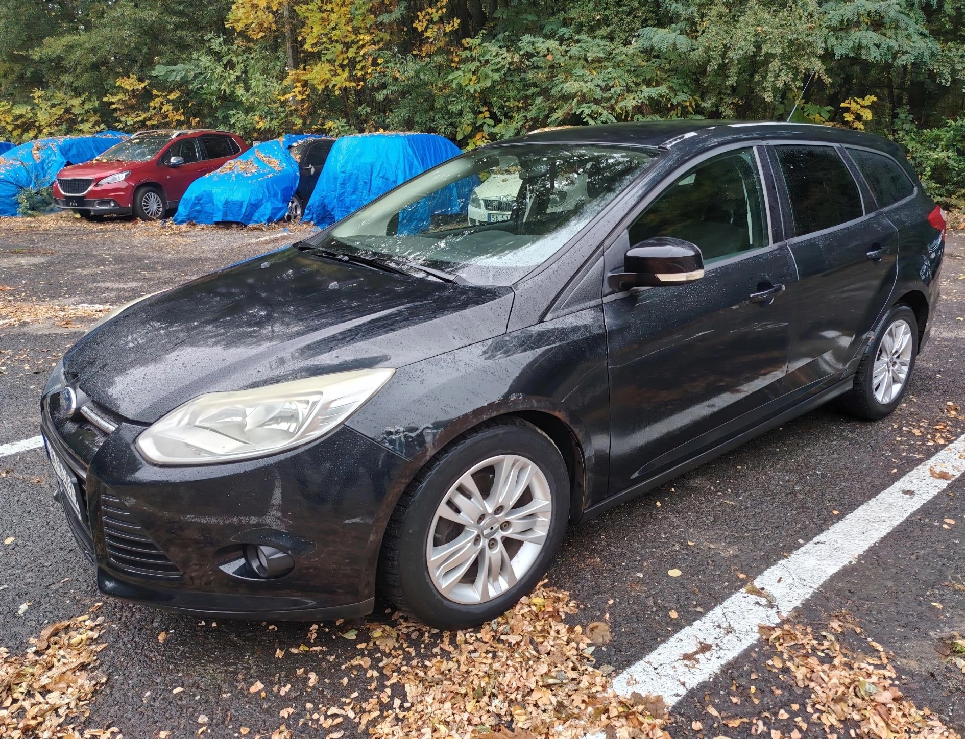 Ford Focus 2011 - zdjęcie 6