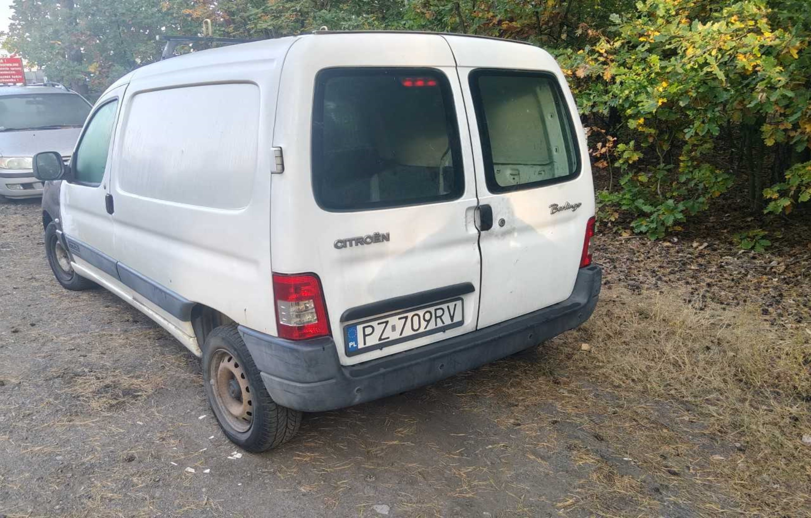 Auto dostawcze koloru białego z maską w kolorze rdzawym