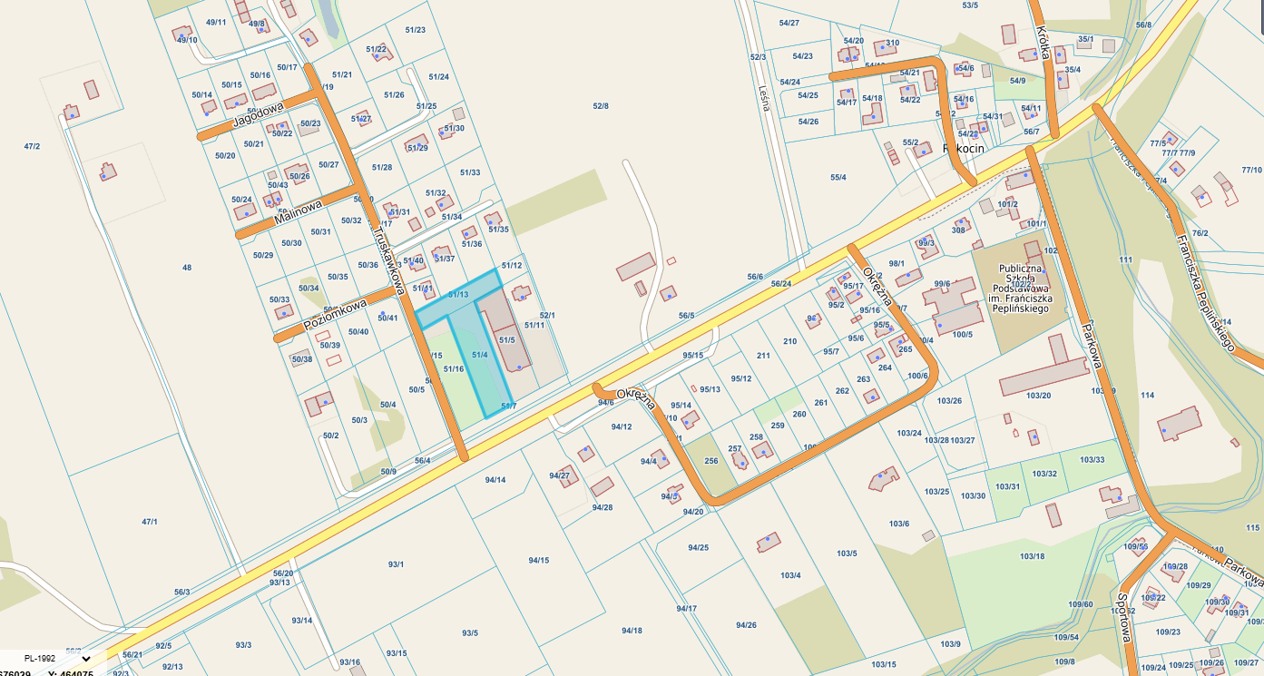 Mapka geodezyjna z zaznaczonymi granicami nieruchomości