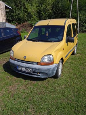 Renault Kangoo - zdjęcie 1