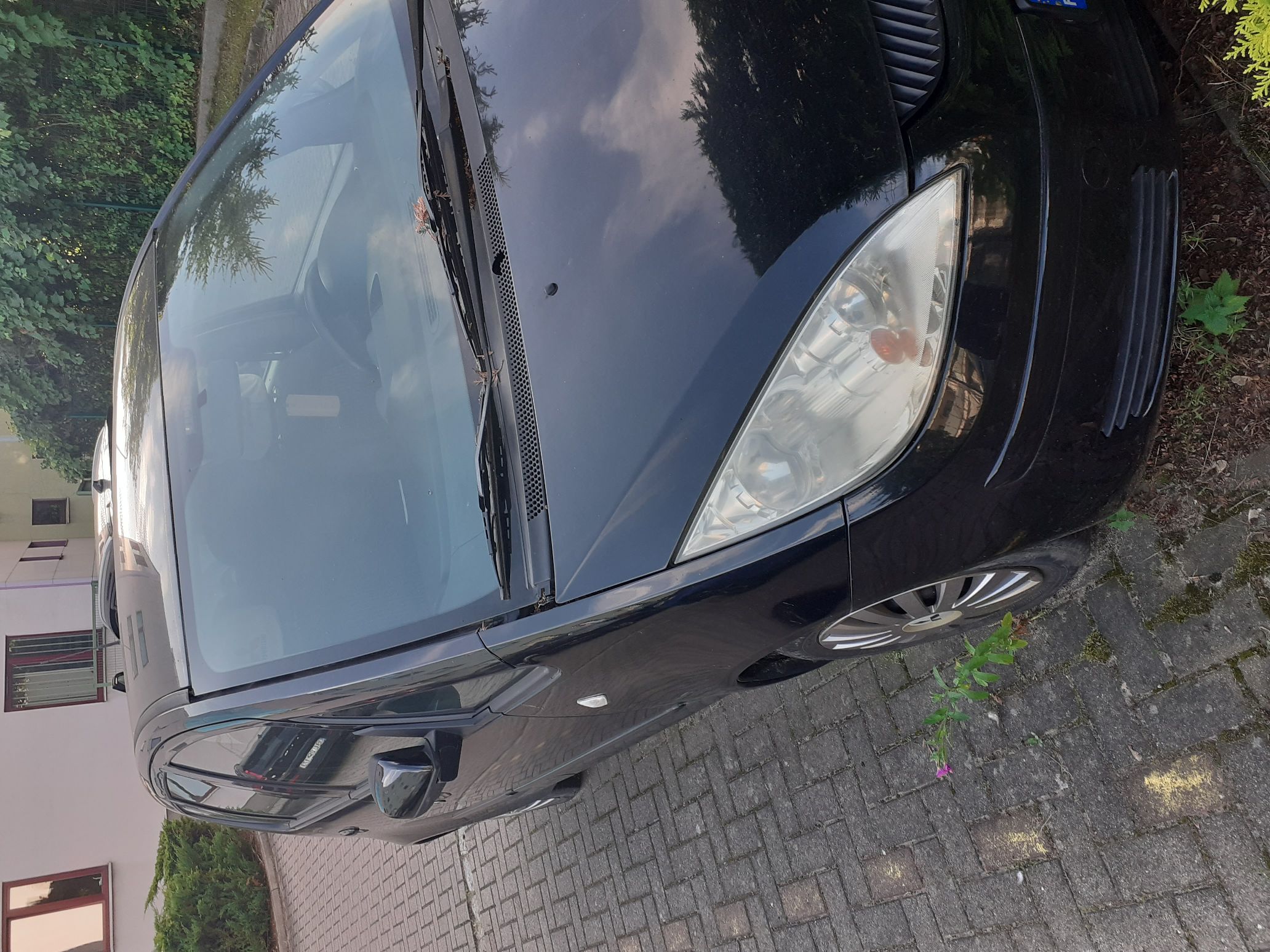 Widok przedniej maski z reflektorem
