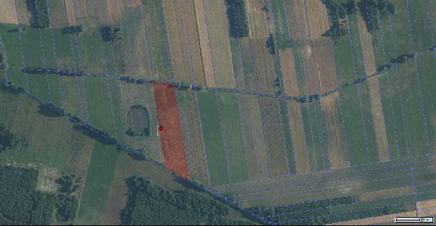 Mapa satelitarna działek przedstawiająca wąską, podłużna działka rolna oznaczona czerwonym kolorem i czerwonym plusem w centrum.