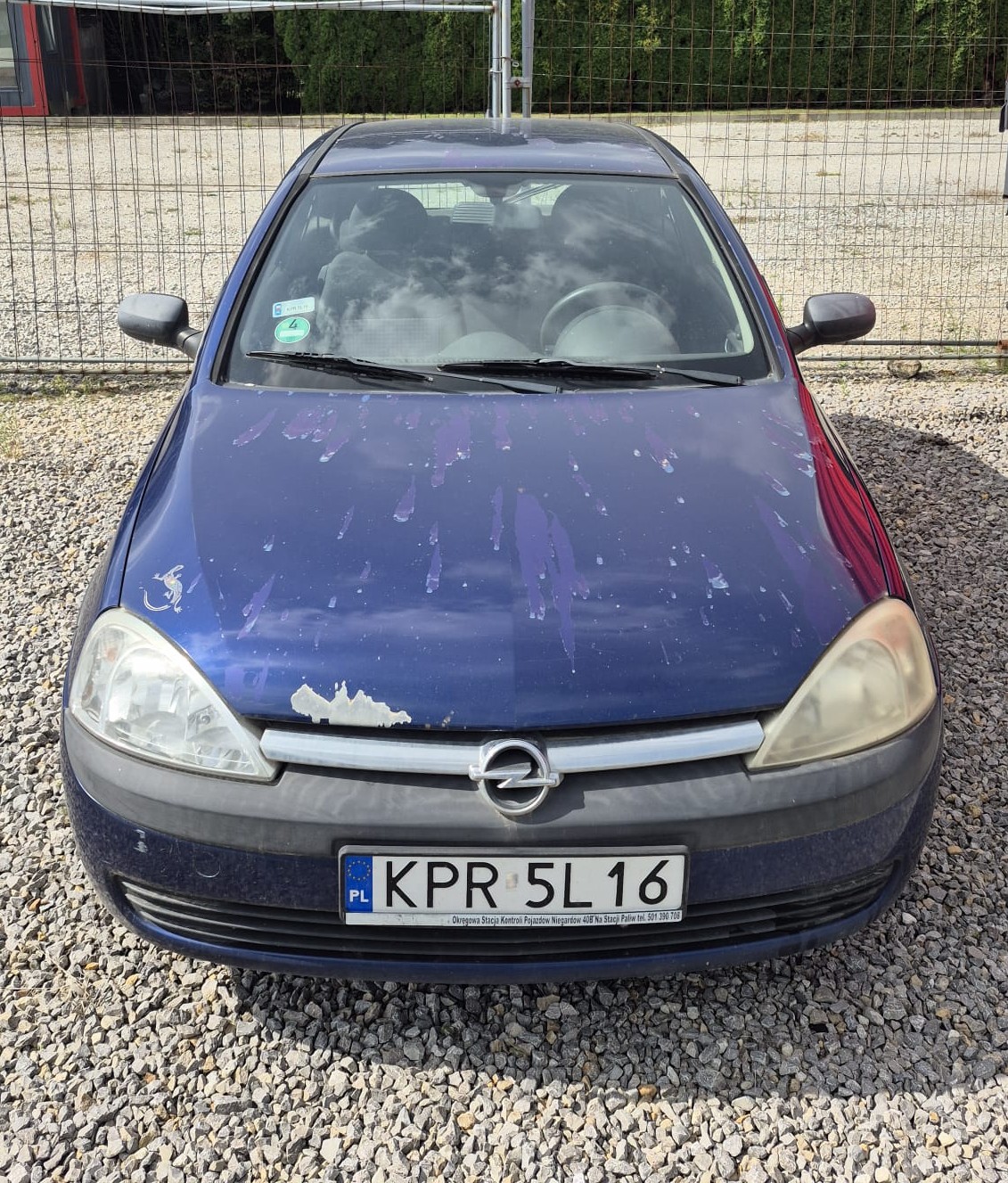 Przód granatowego pojazdu OPEL CORS -C. Ubytki lakieru na masce