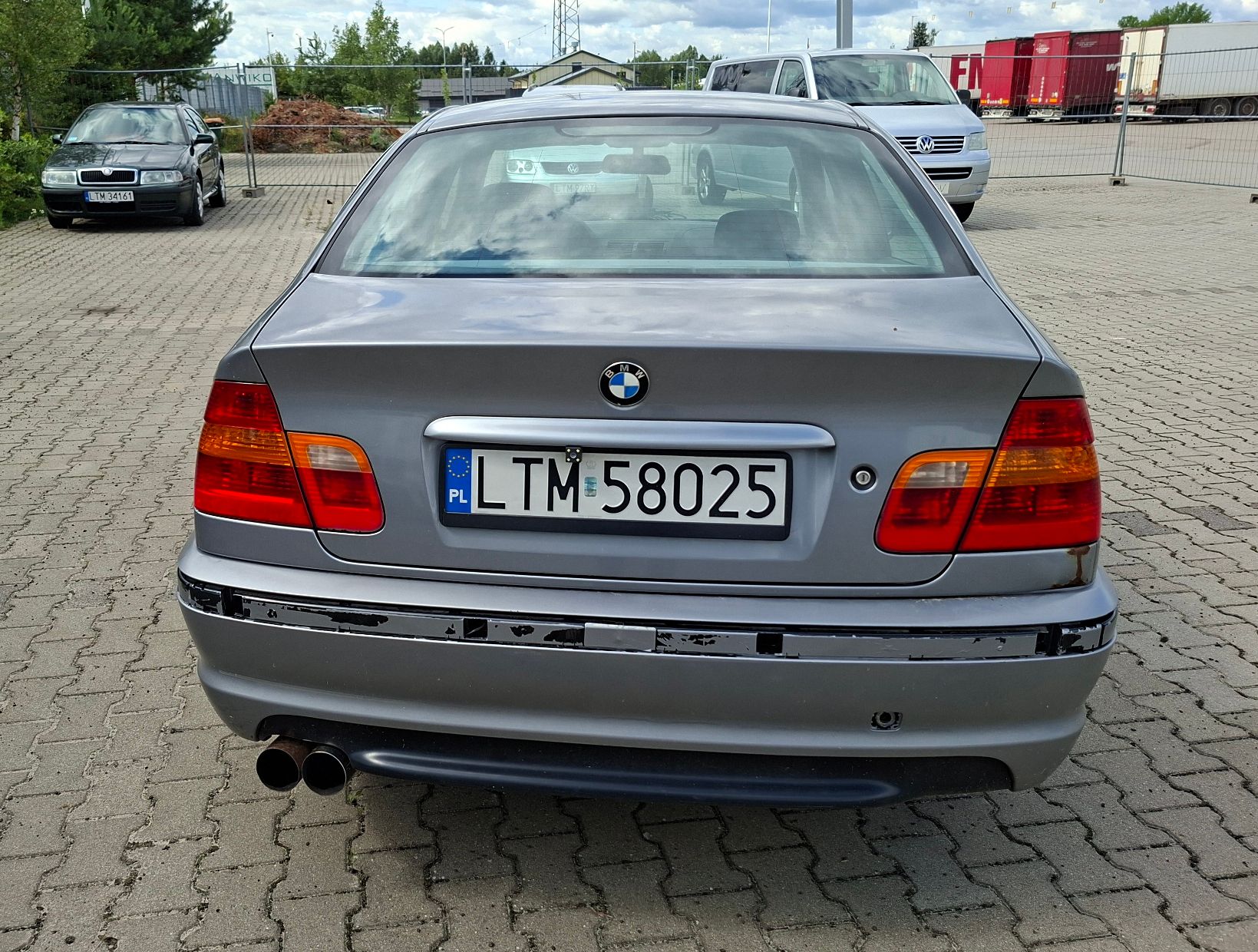 tył szary